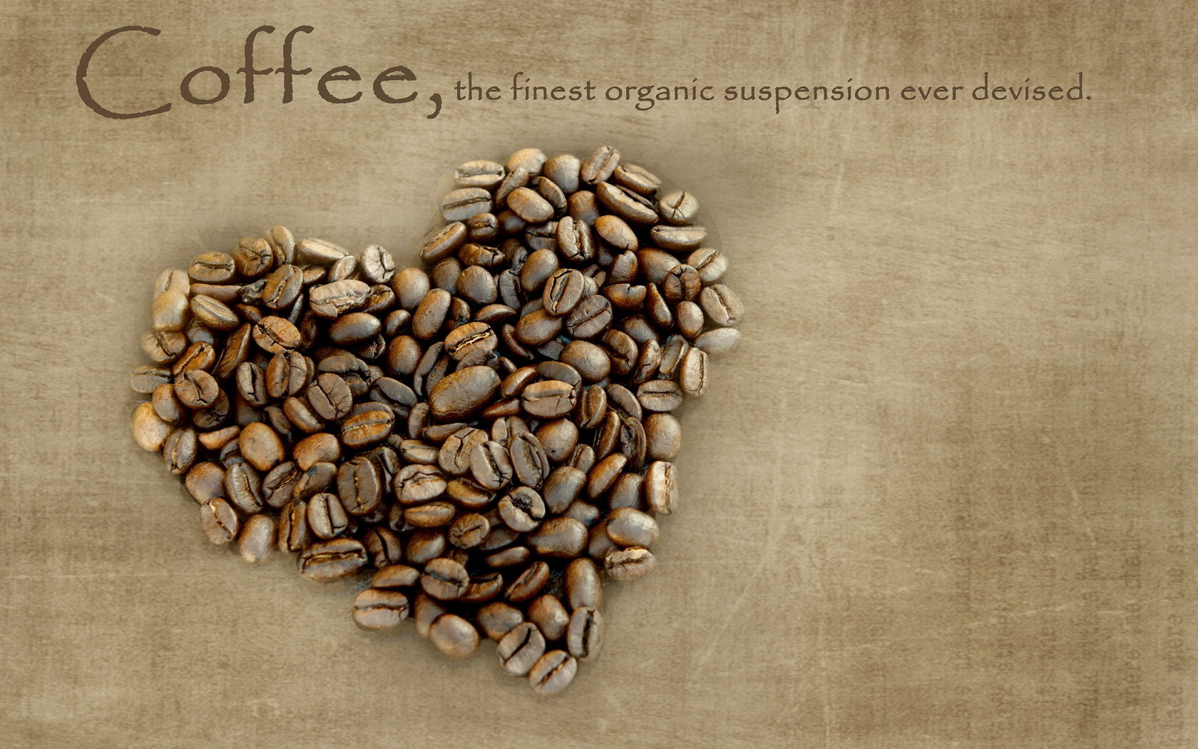 Handy-Wallpaper Coffee, Hintergrund kostenlos herunterladen.