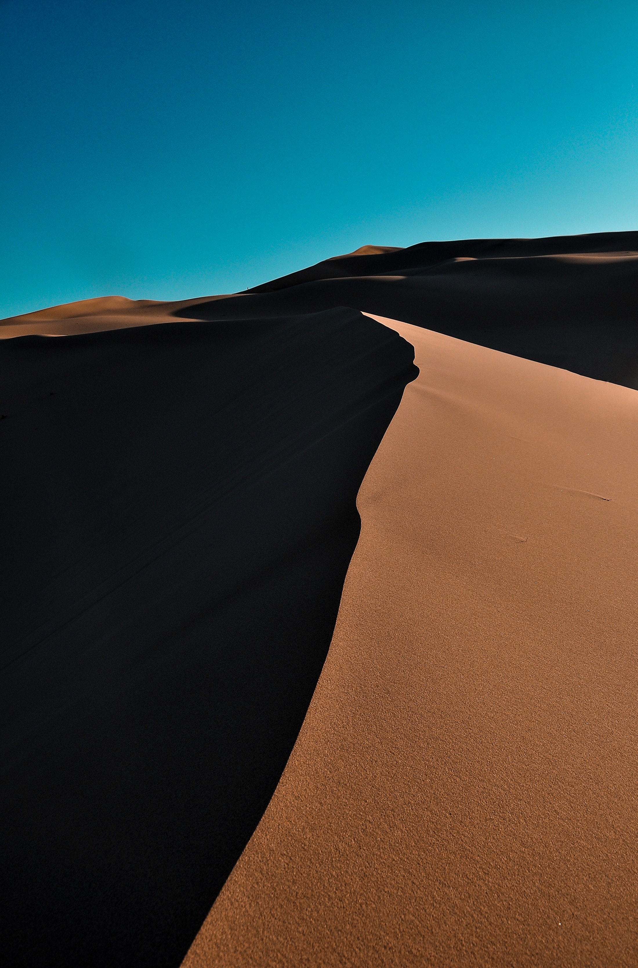 nature, sand, desert, wavy, dunes, links desktop HD wallpaper