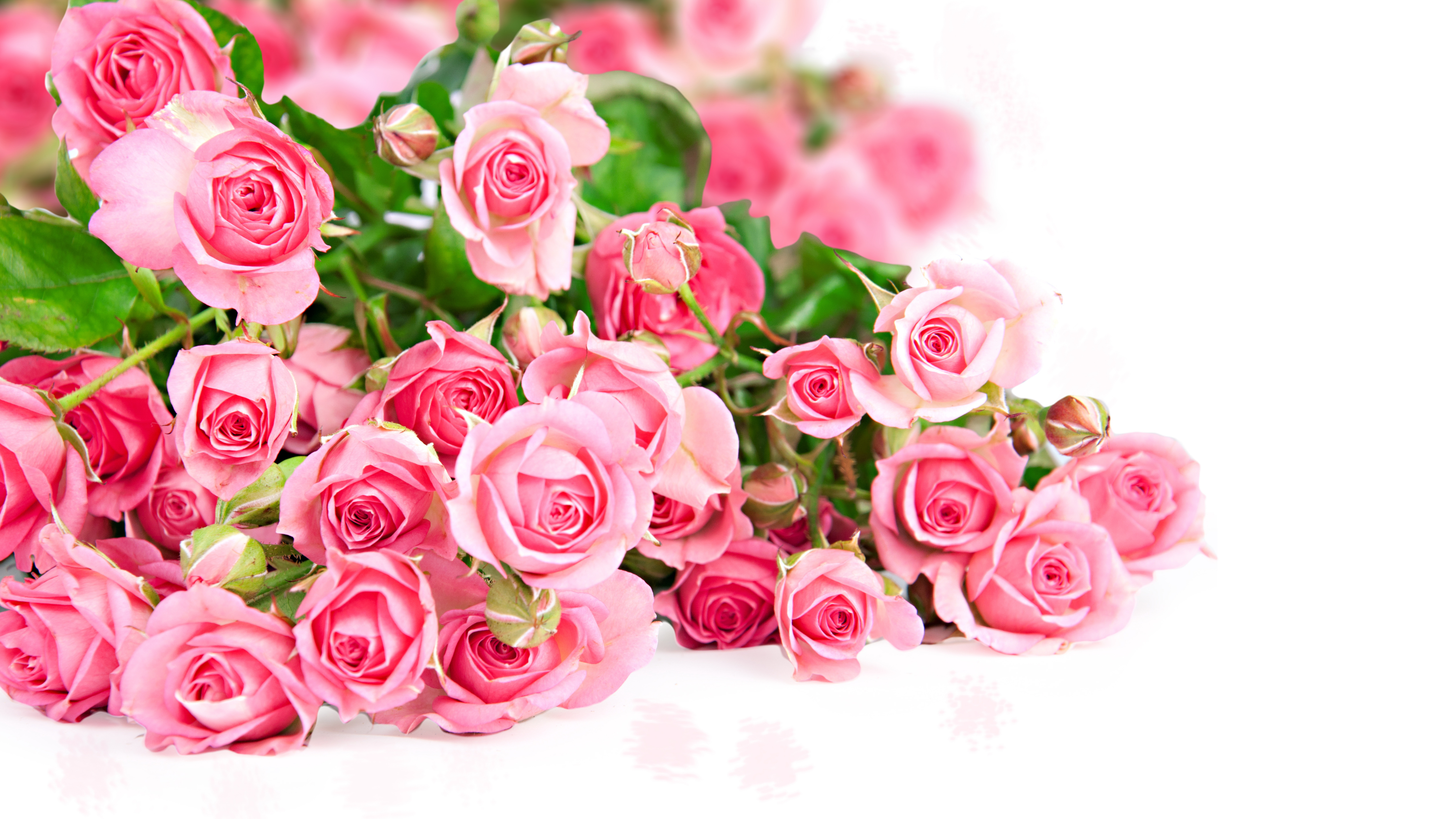 Поздравление с юбилеем цветами. Розовые розы. Букет цветов фон. Красивый букет.
