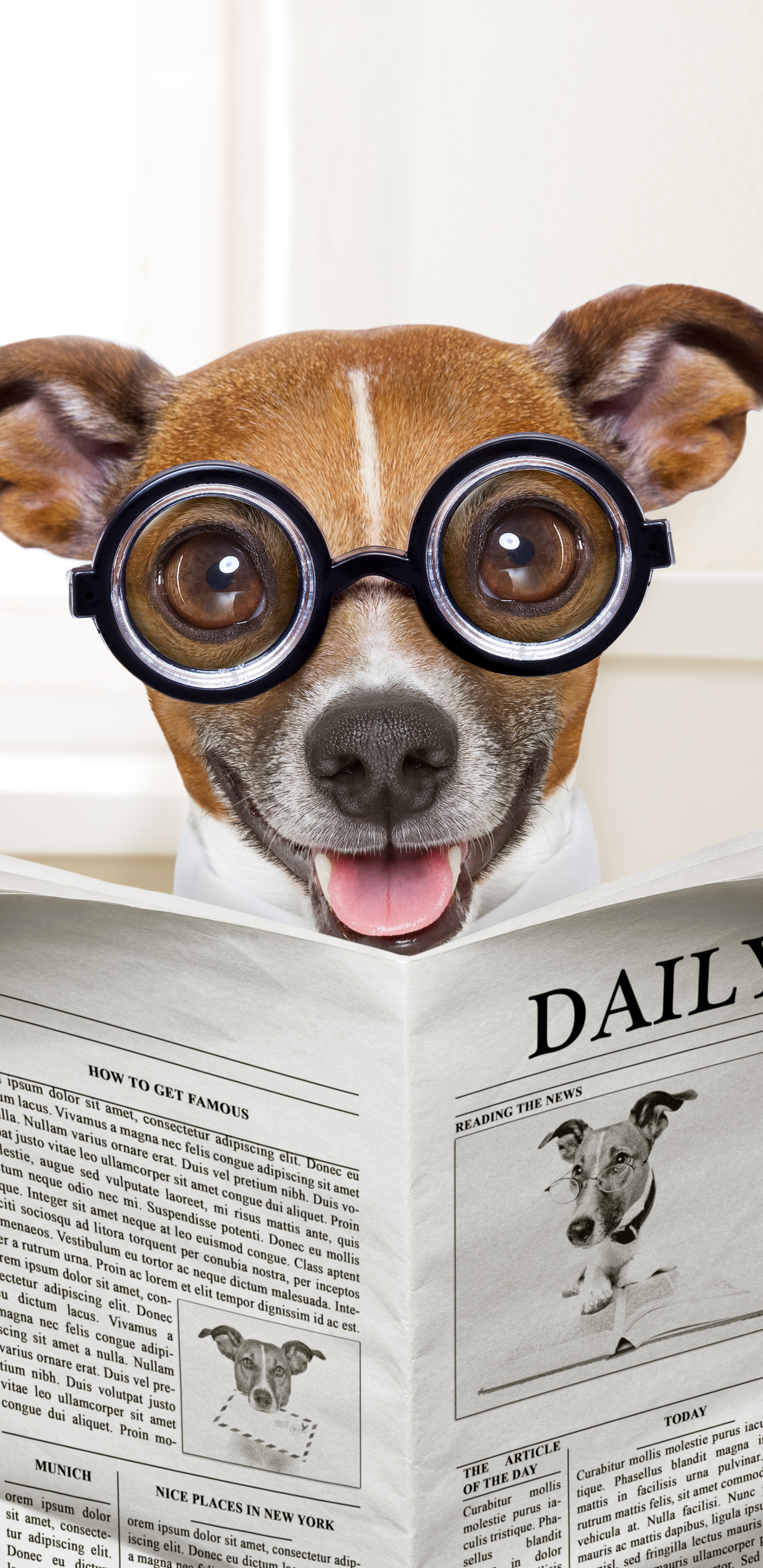 humor, dog, newspaper