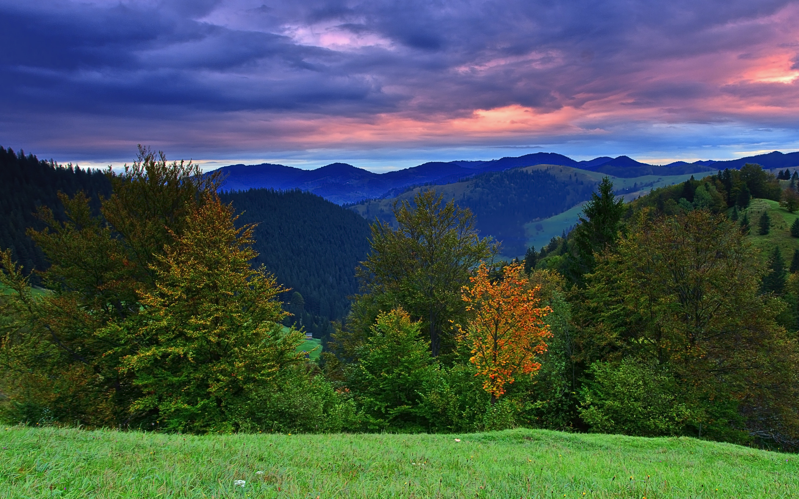 Холмы Румынии