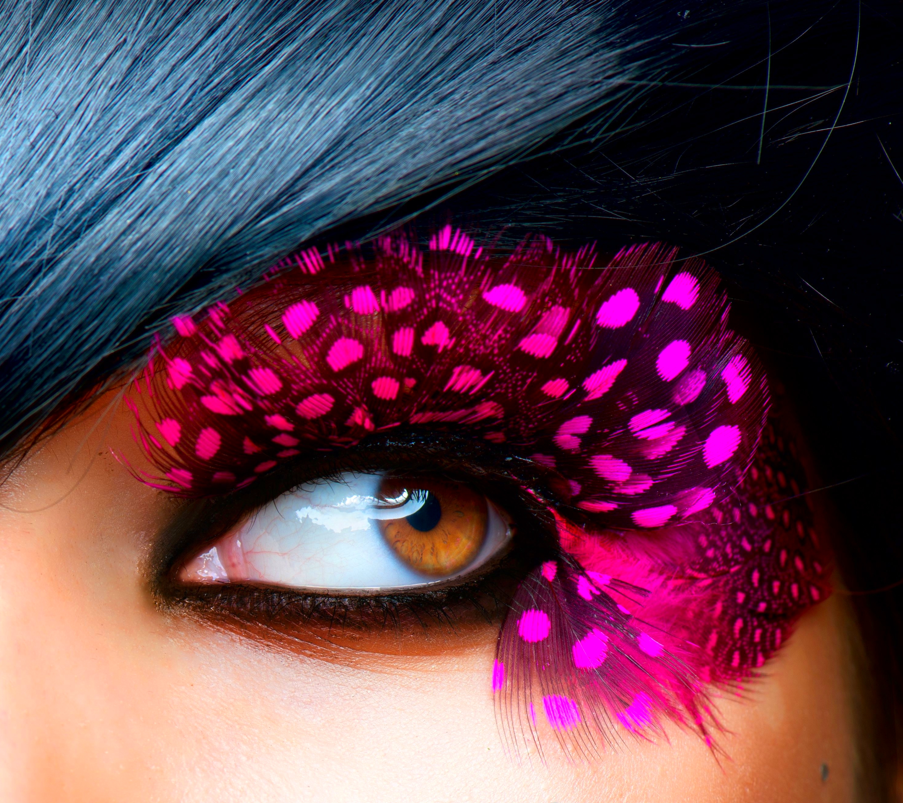 women, judy wilkins, eye, brown eyes, feather, eyelash, lipstick, purple HD wallpaper