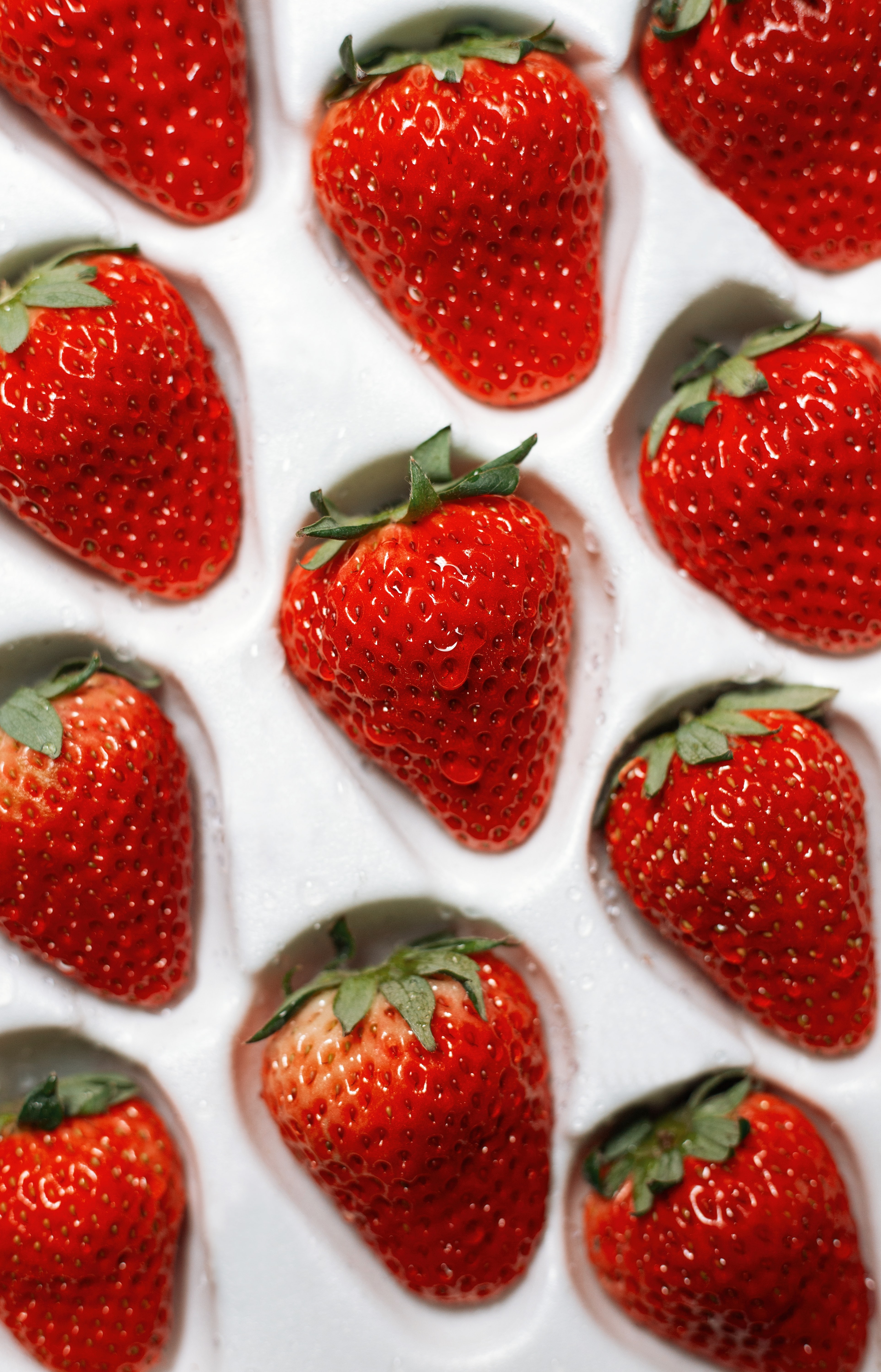 Laden Sie das Lebensmittel, Erdbeere, Berries, Nass, Reif-Bild kostenlos auf Ihren PC-Desktop herunter