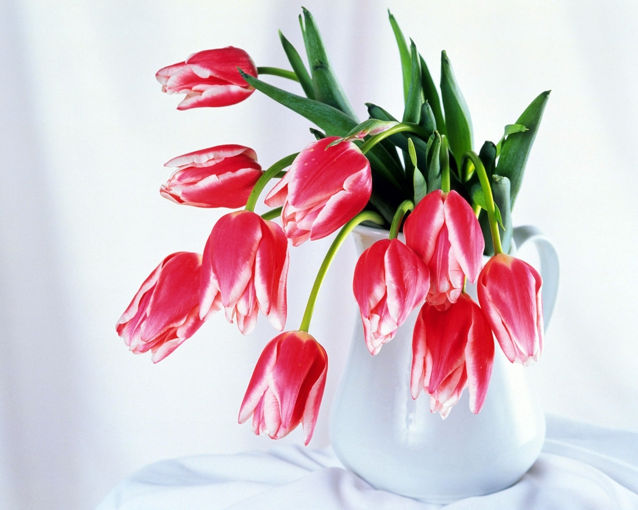 6264 скачать обои 8 марта, тюльпаны, букеты, растения, цветы - заставки и картинки бесплатно