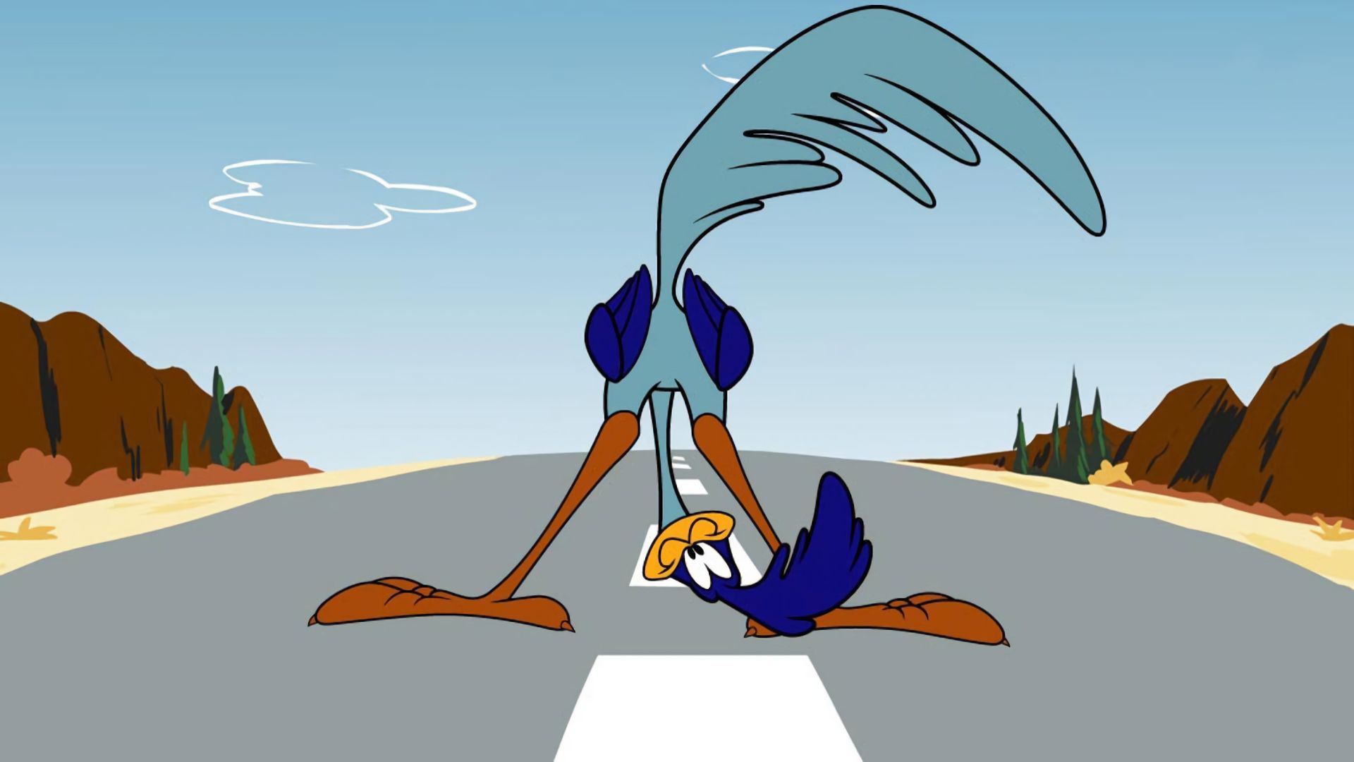 roadrunner and wile e coyote backgrounds