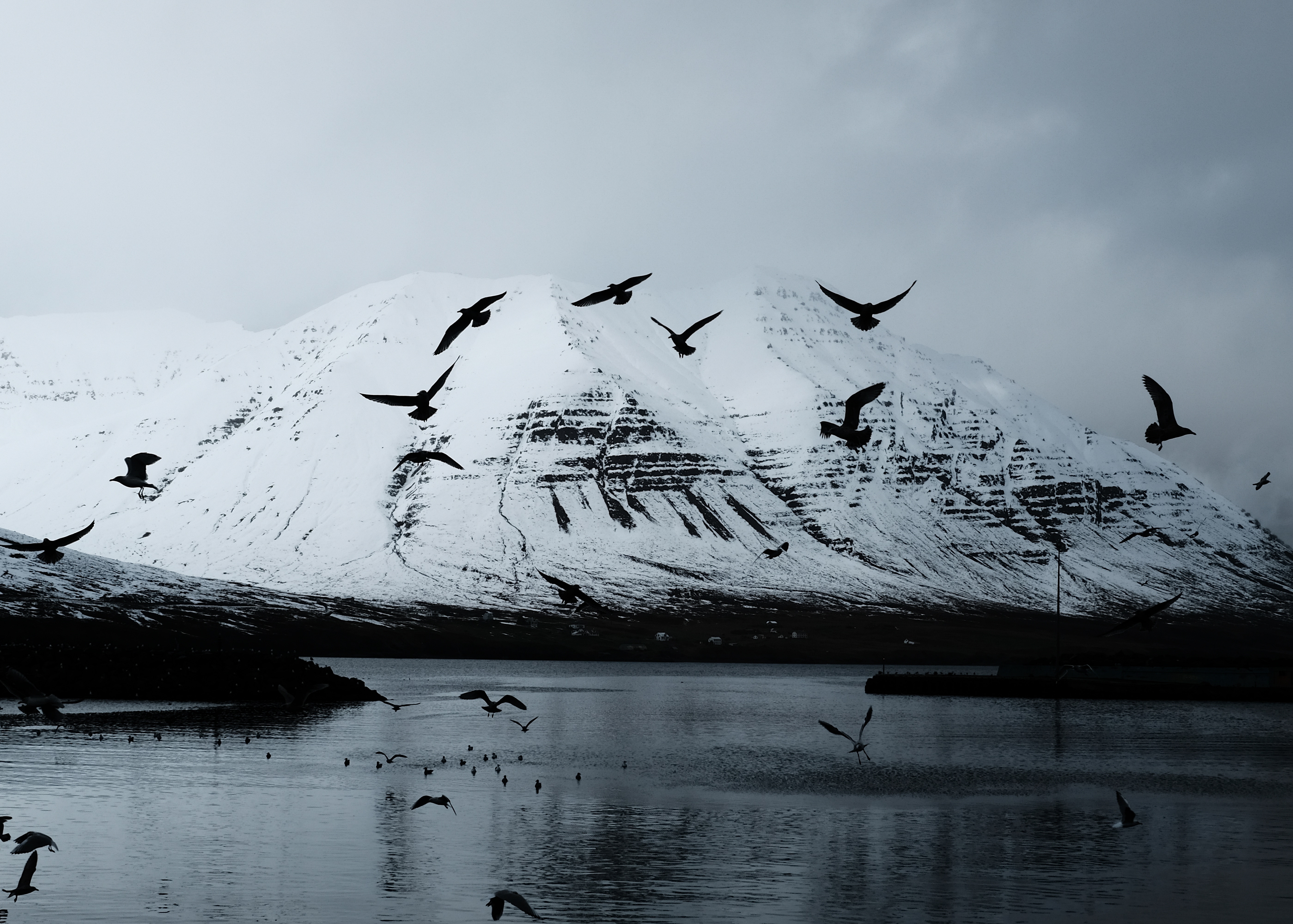 lake, nature, birds, snow, crows, mountain, glacier 1080p