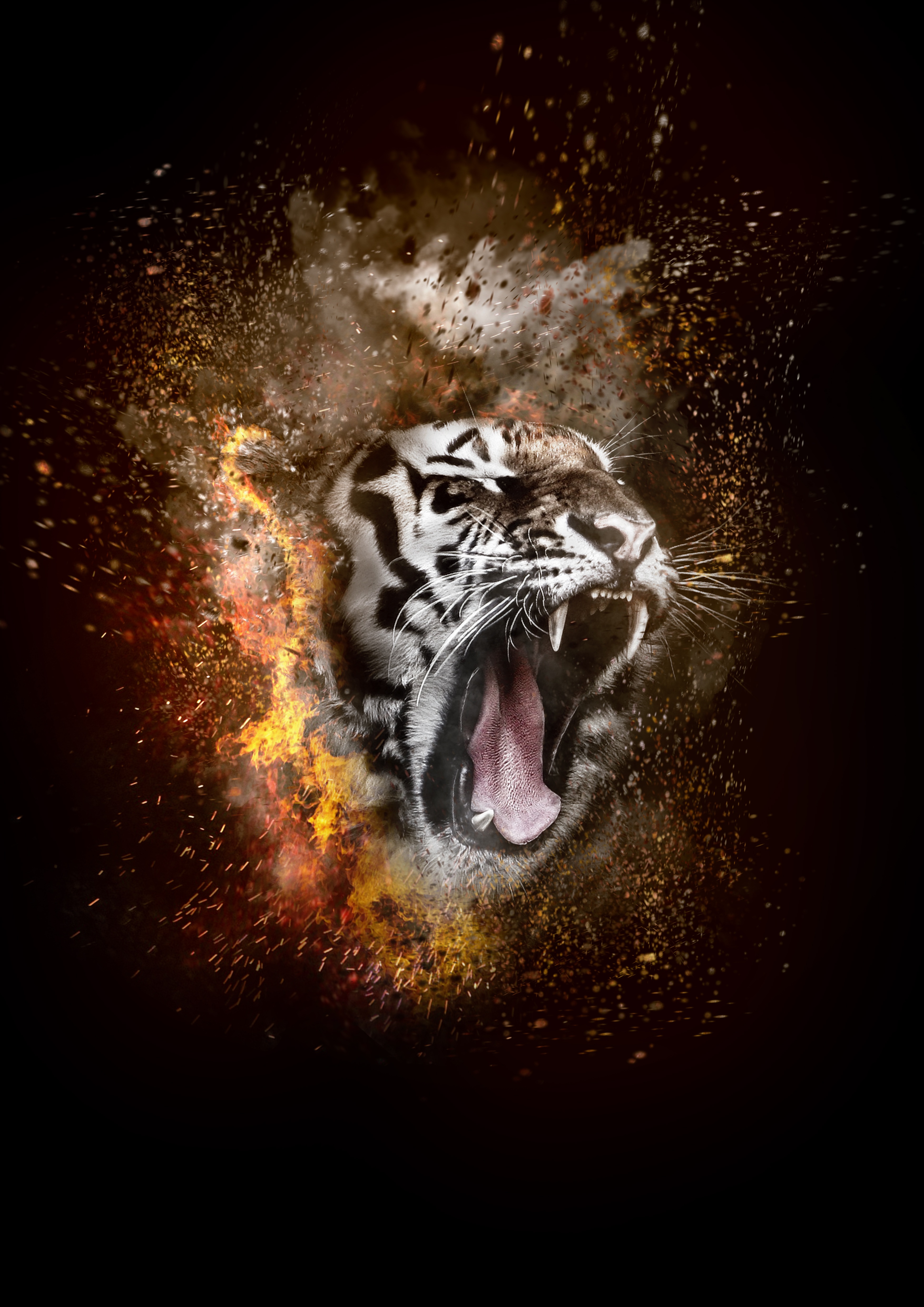fire, tiger, animals, grin, photoshop