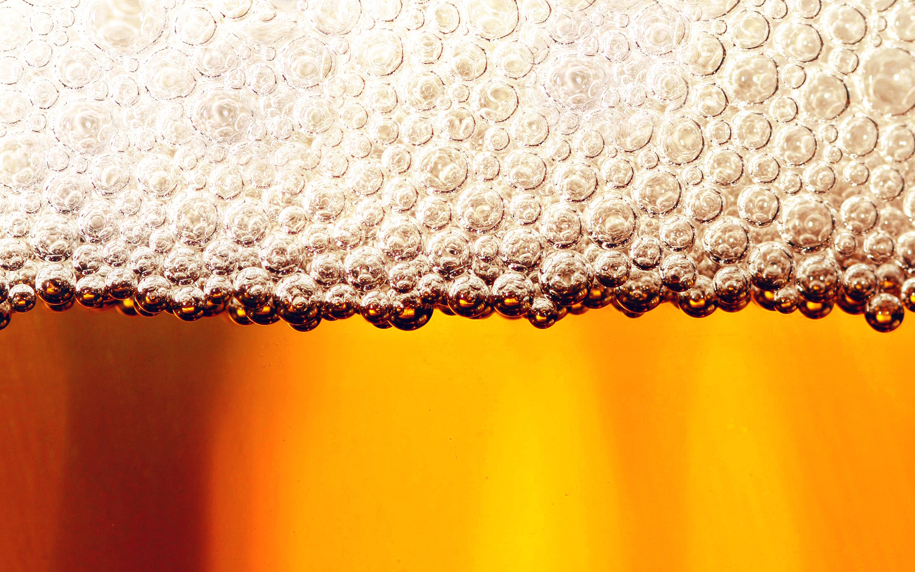 macro, food, beer, drink, foam High Definition image