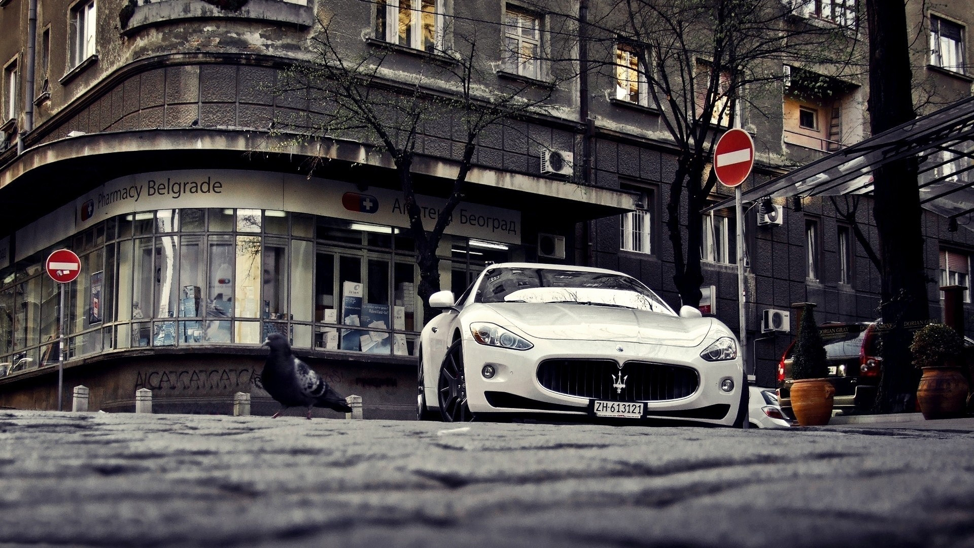 289062 Hintergrundbilder und Maserati Bilder auf dem Desktop. Laden Sie  Bildschirmschoner kostenlos auf den PC herunter