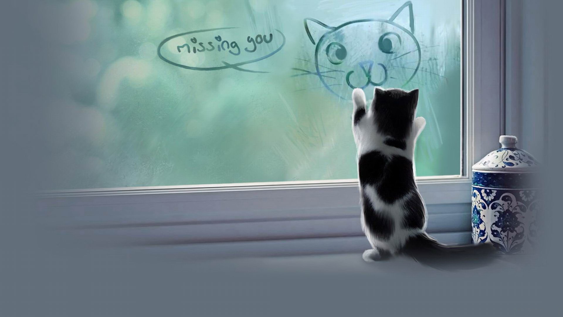 手機屏幕的最佳 小猫 壁紙