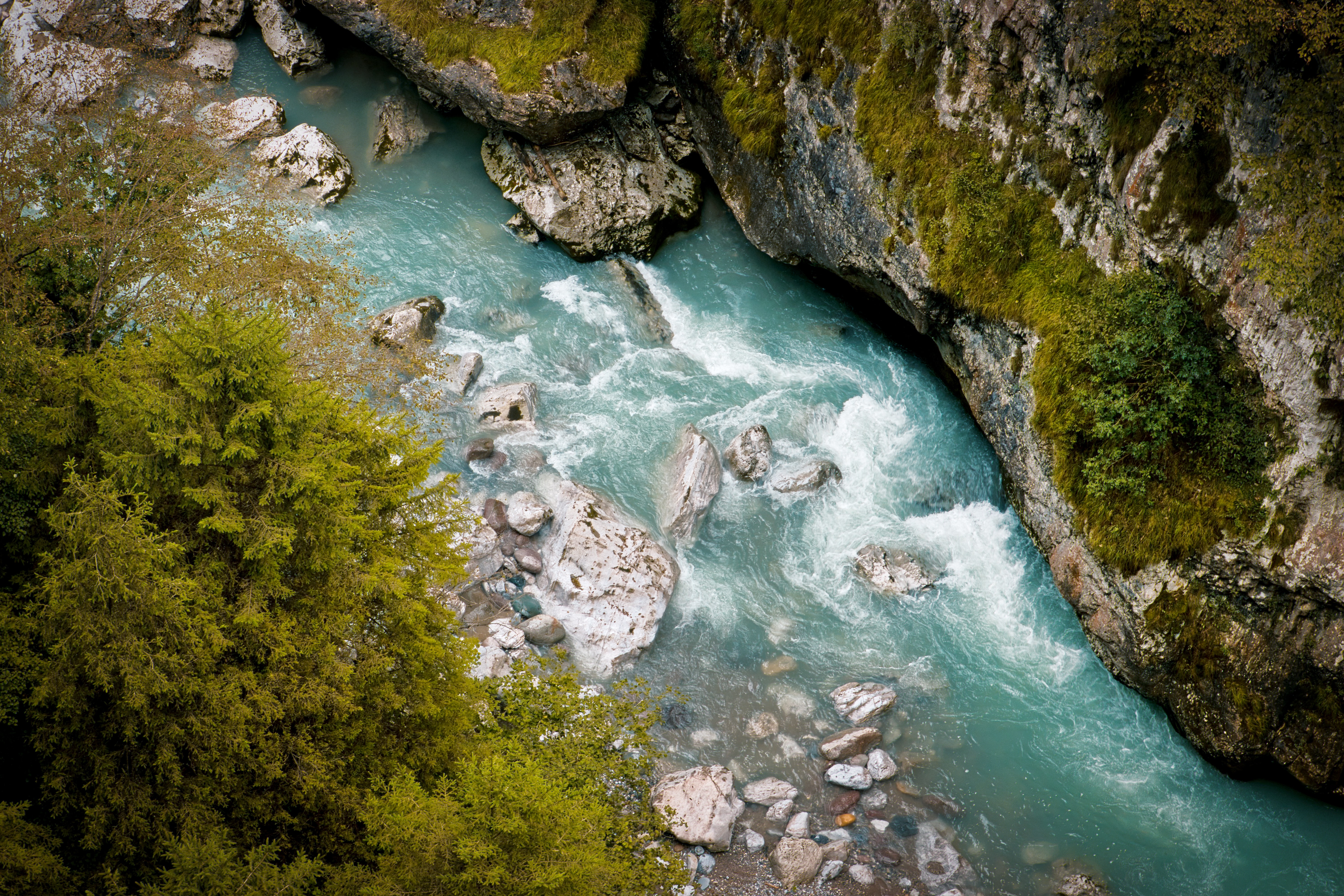 view from above, nature, rivers, trees, rocks