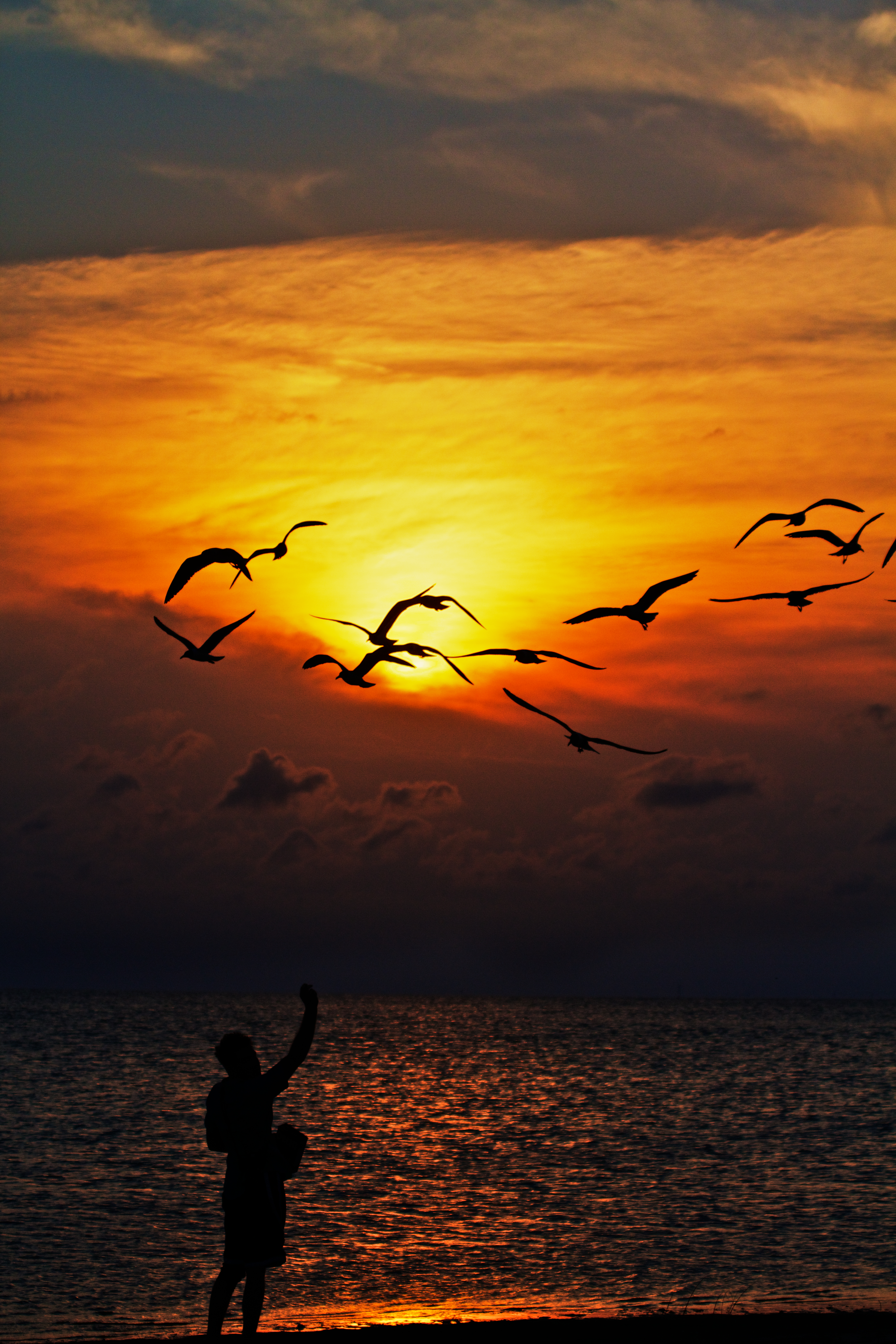 Download mobile wallpaper Sunset, Nature, Silhouettes, Birds, Sea for free.