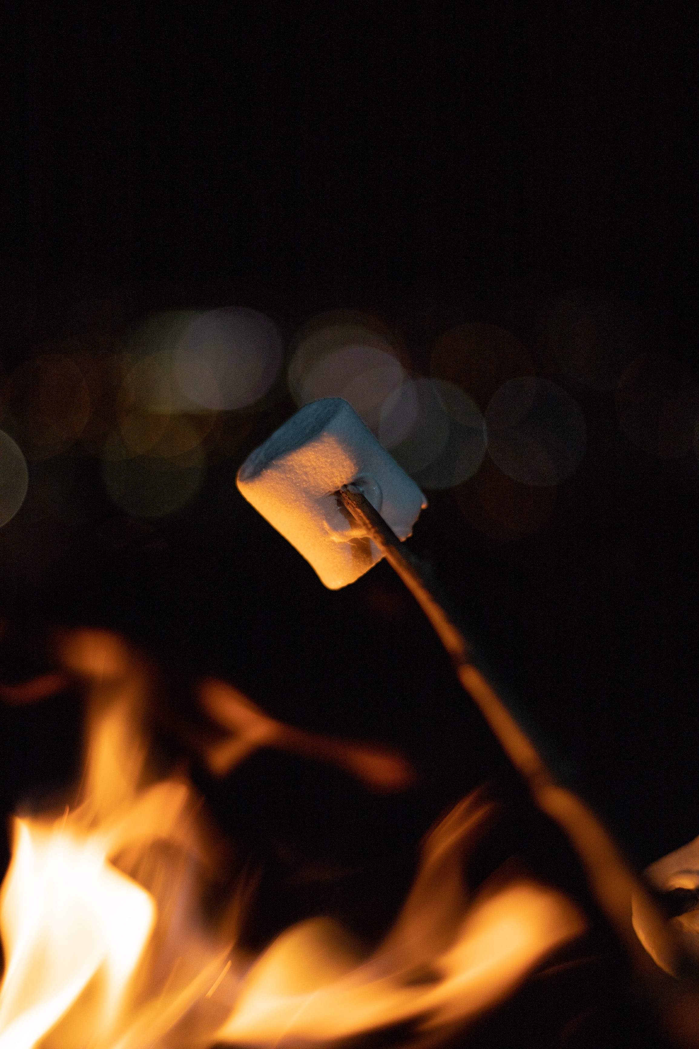 food, bonfire, dark, marshmallow, zephyr, stick