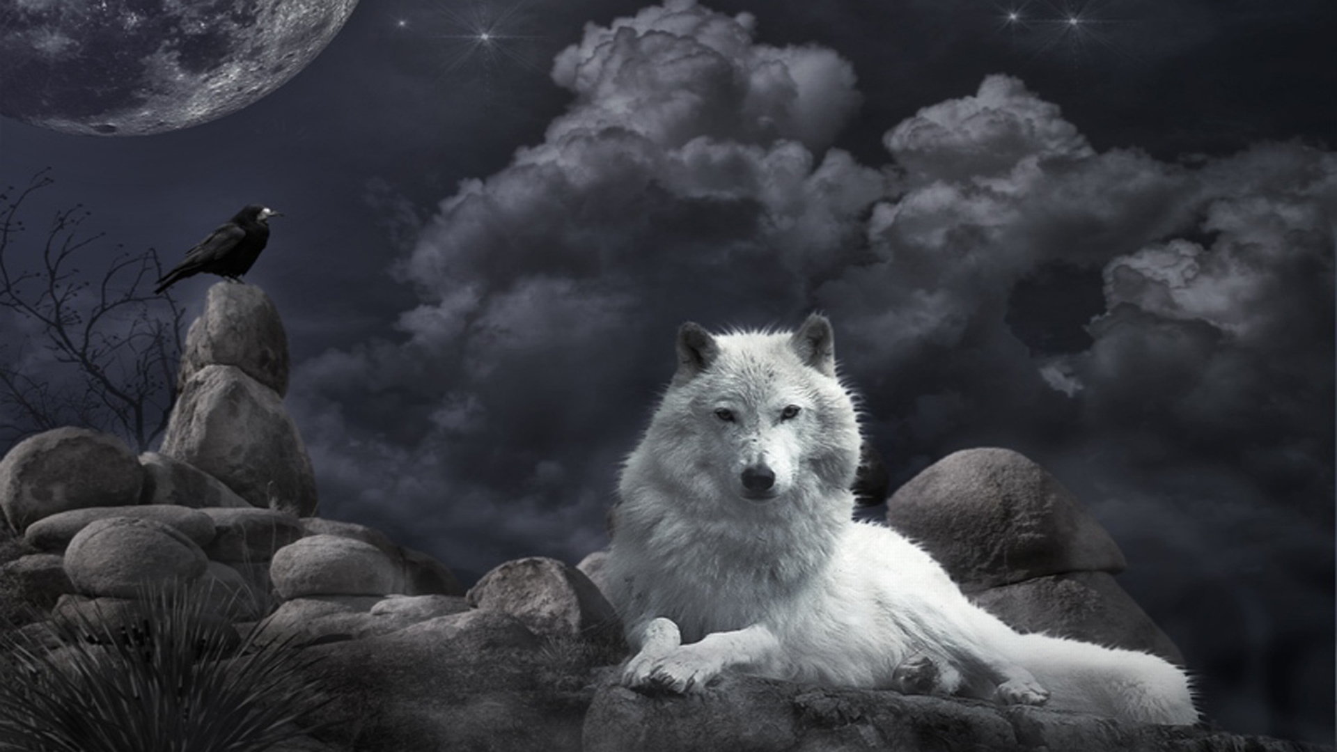180842 Hintergrundbild herunterladen wolf, tiere, krähe, wolves - Bildschirmschoner und Bilder kostenlos