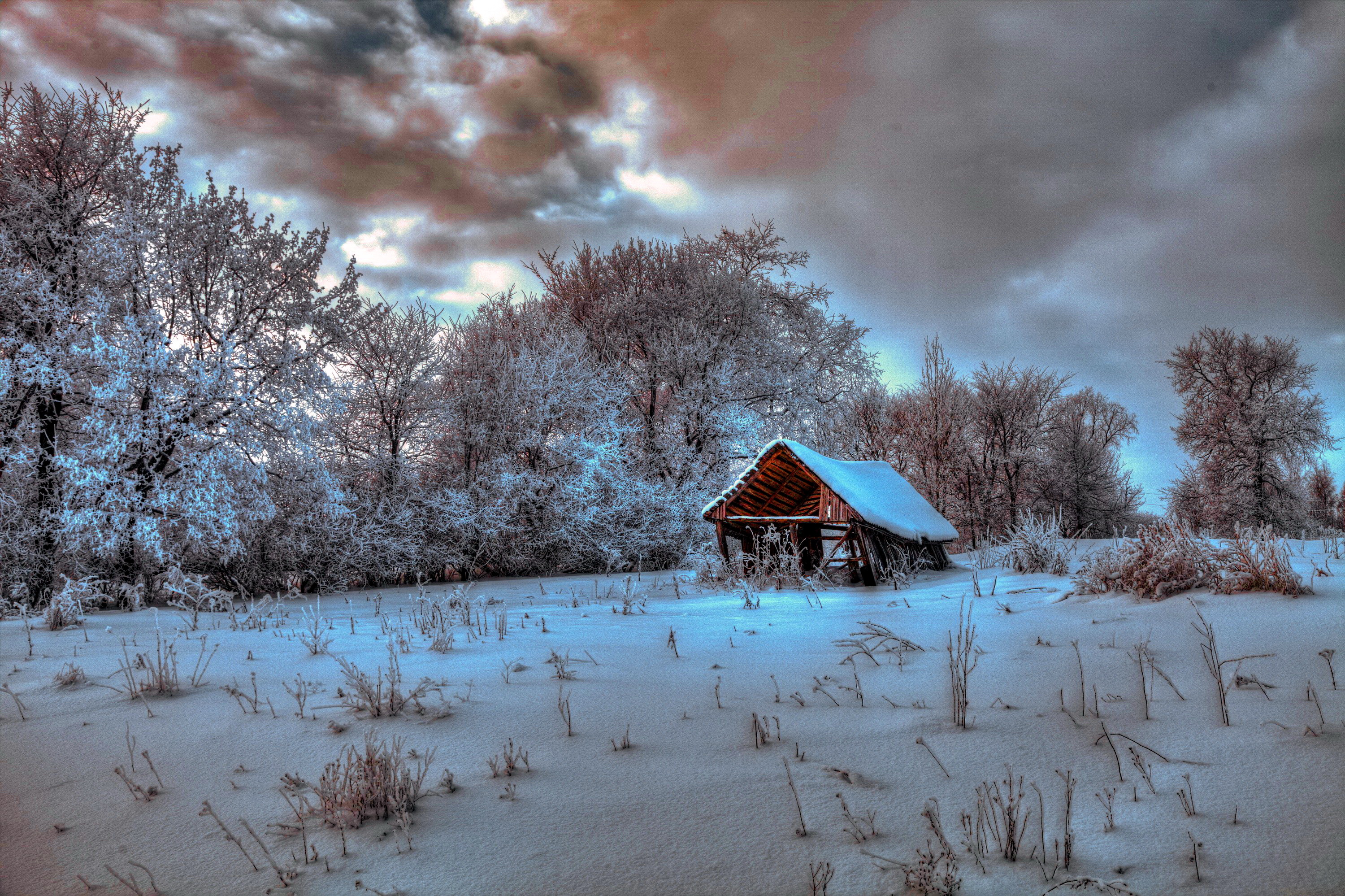 819208 descargar imagen nieve, hecho por el hombre, choza, nube, campo, árbol, invierno: fondos de pantalla y protectores de pantalla gratis