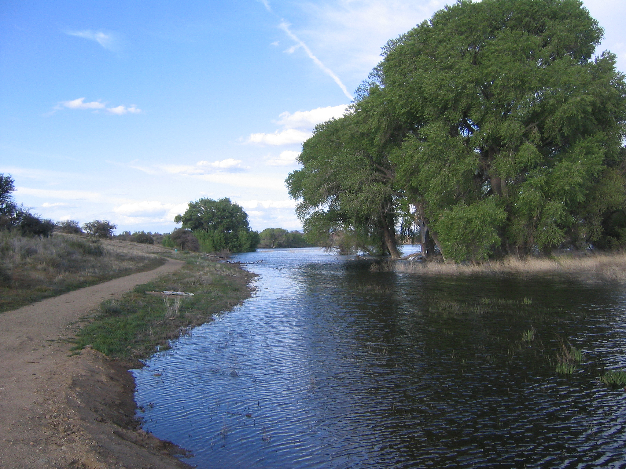 earth, river, arizona, cottonwood trees phone background