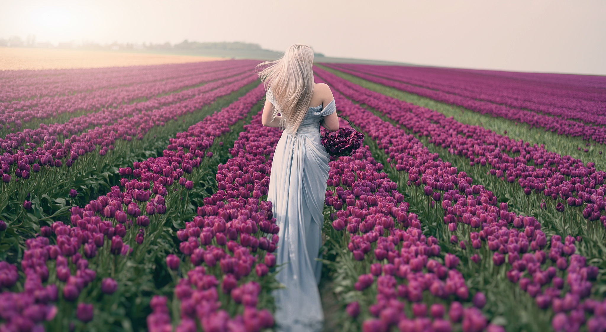 Девушка в поле среди цветов