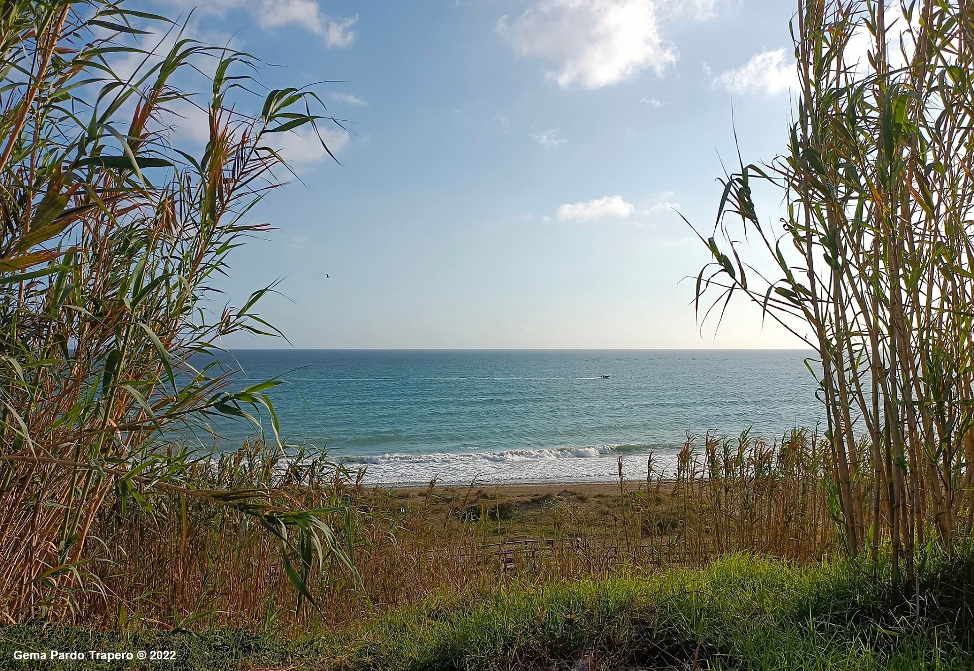 earth, beach, malaga, reed, sea, spain High Definition image