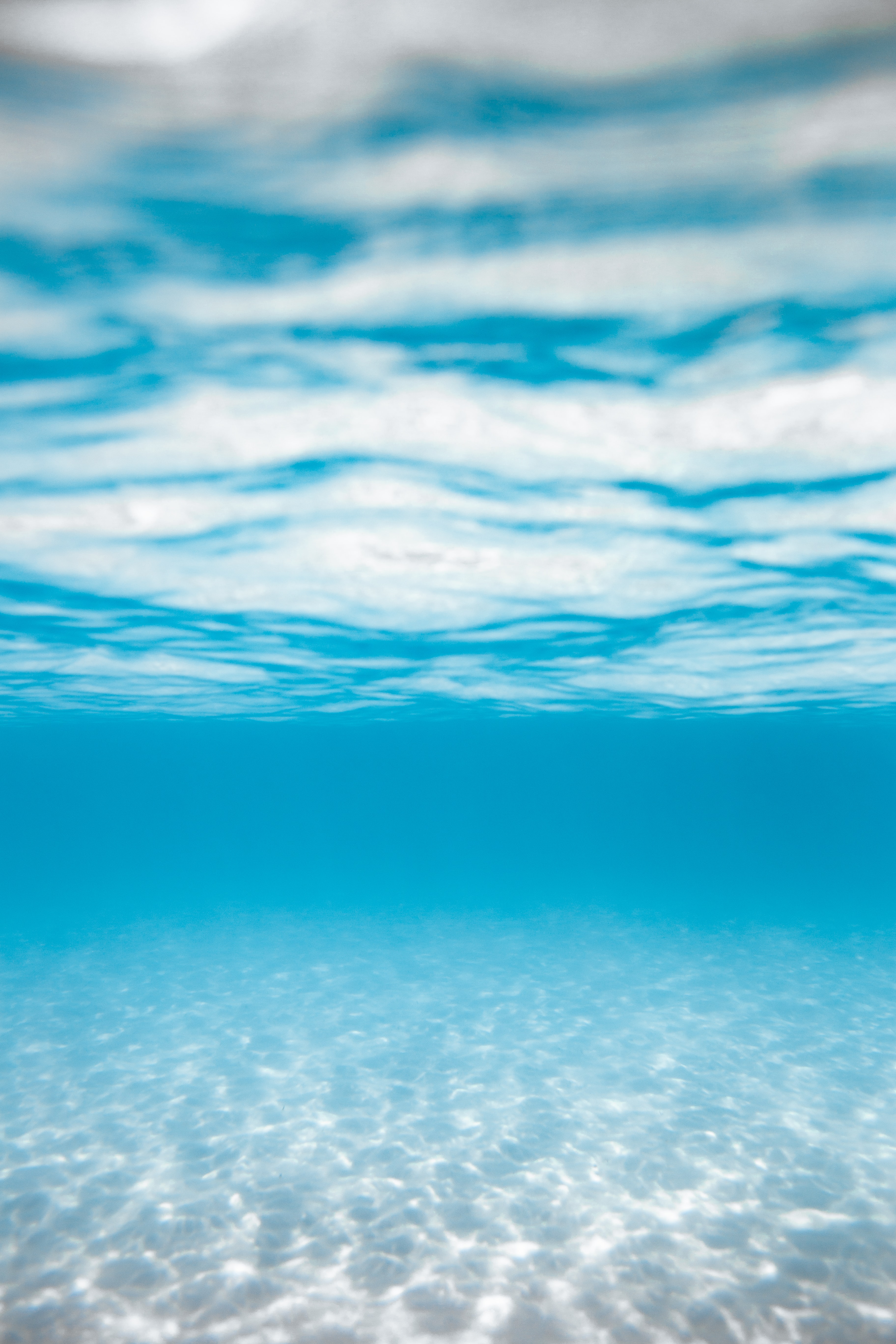 under water, underwater, blue, transparent, nature, water