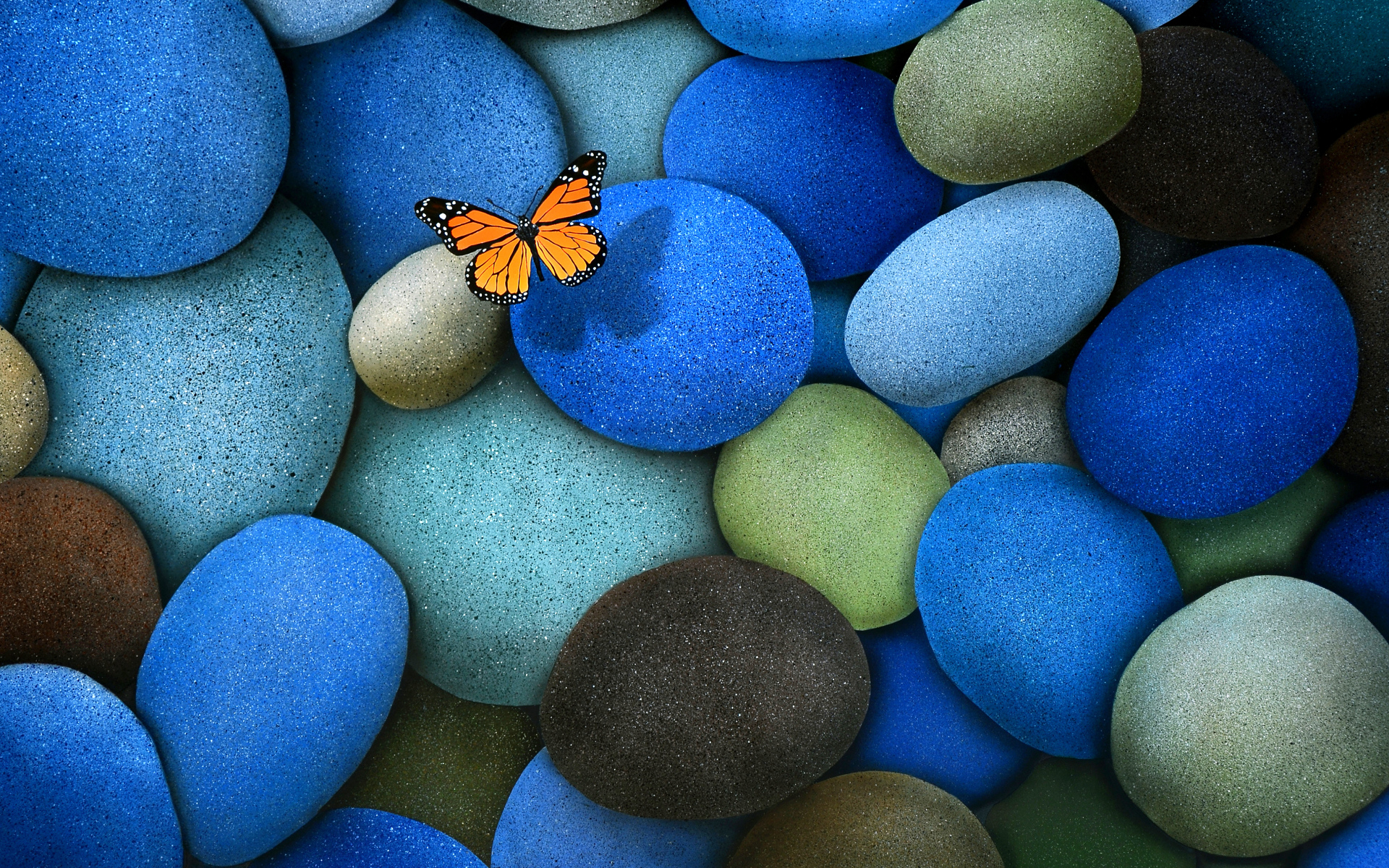 butterfly, animal, stone