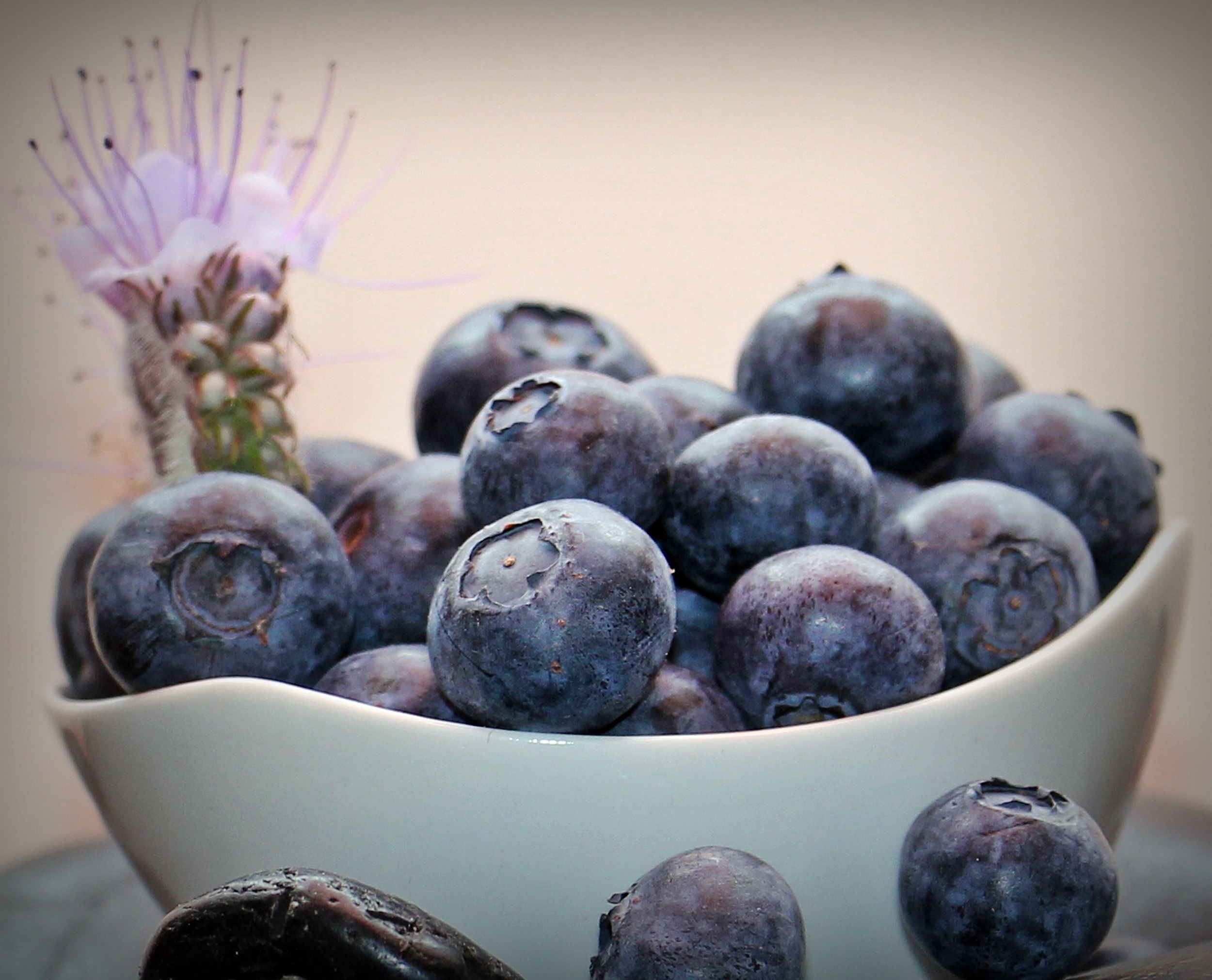 Download mobile wallpaper Bowl, Bilberries, Berries, Food, Ripe for free.
