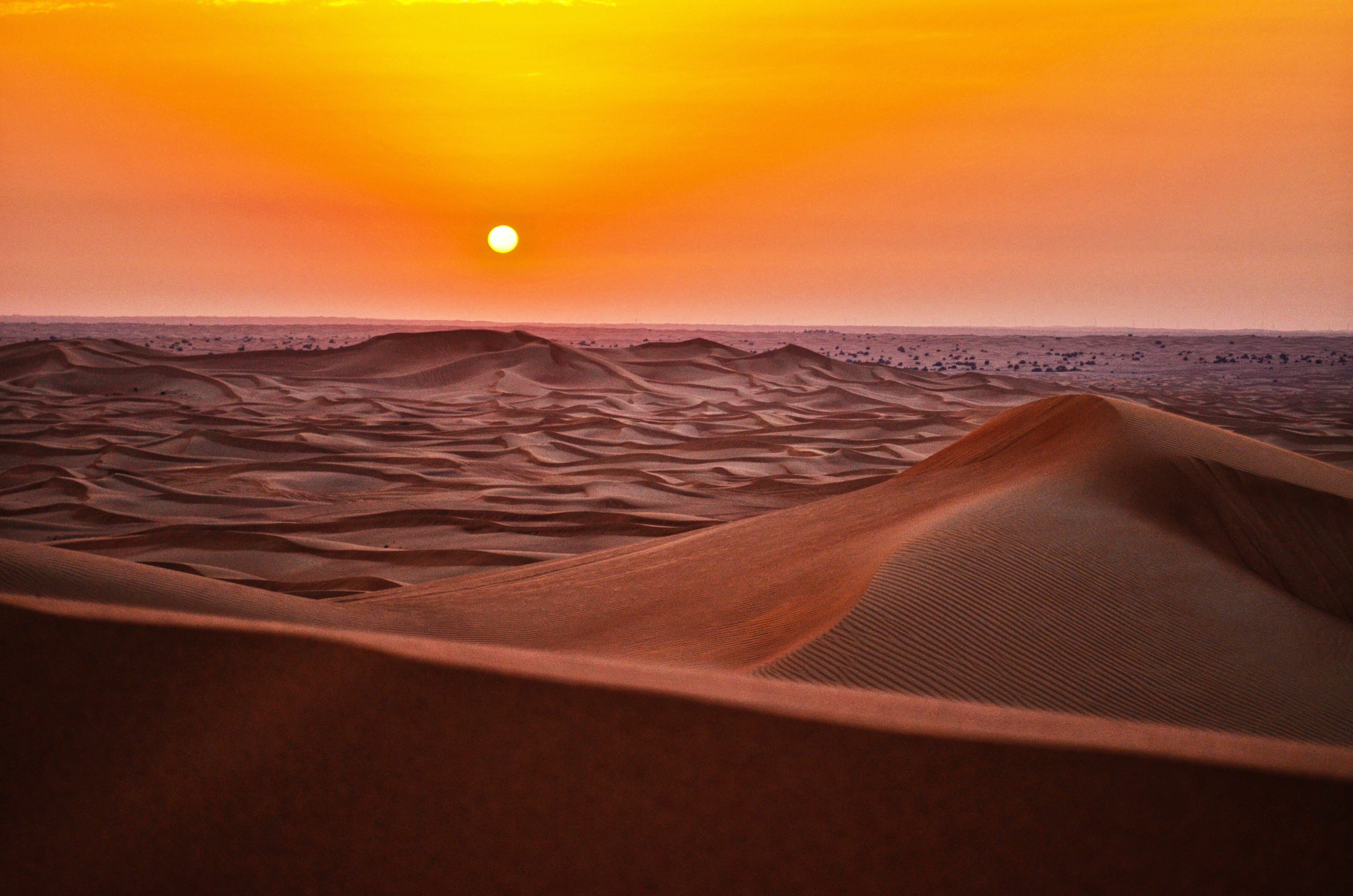 Сауди пустыня