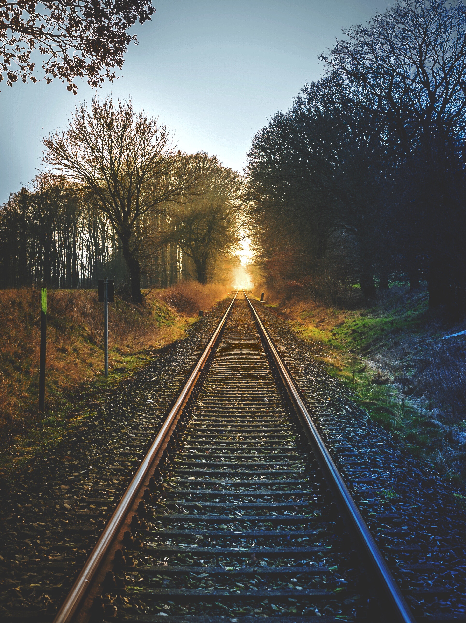 sunset, railway, nature, trees wallpapers for tablet