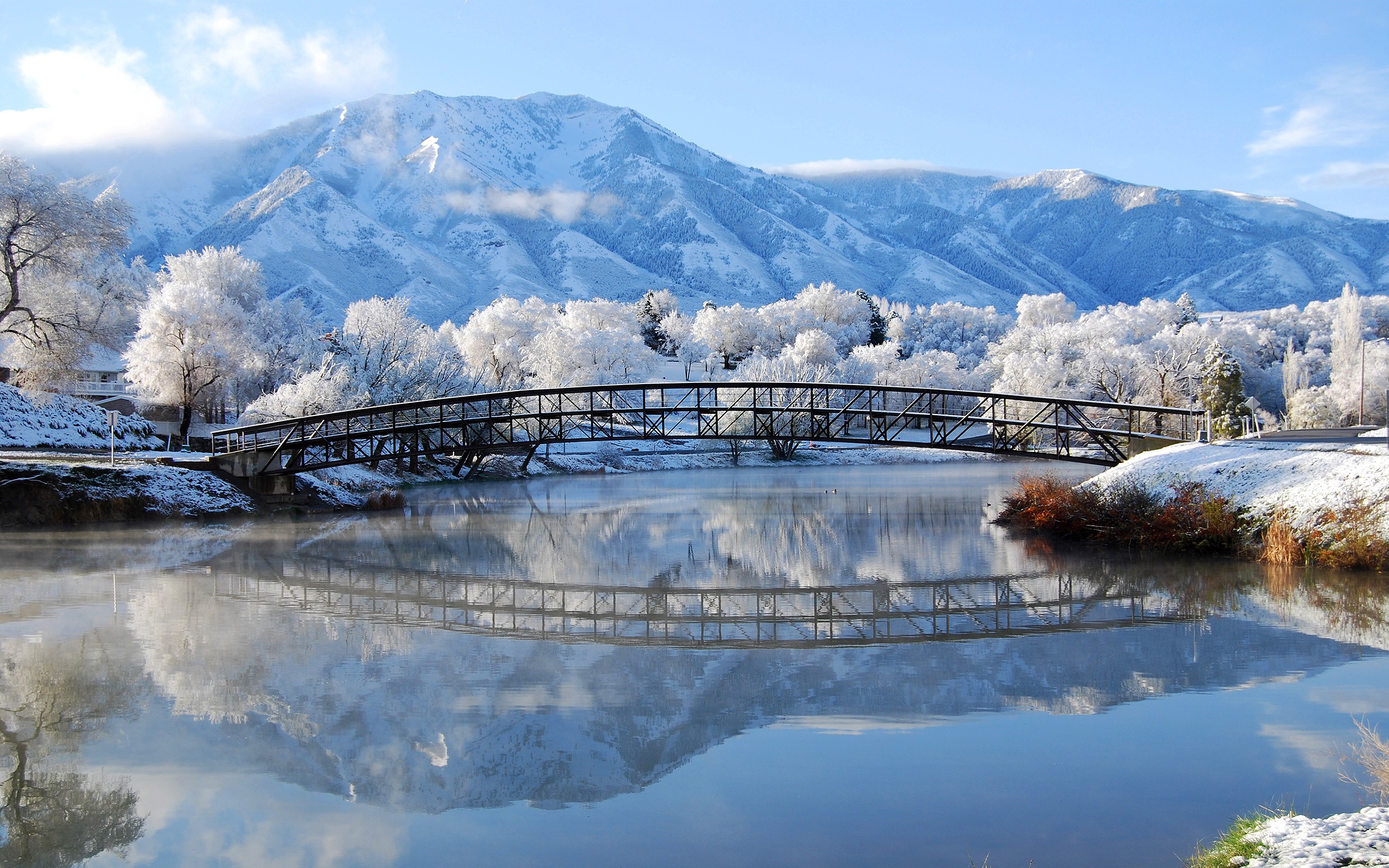 frost, winter, photography, bridge, mountain, reflection, snow, tree Phone Background