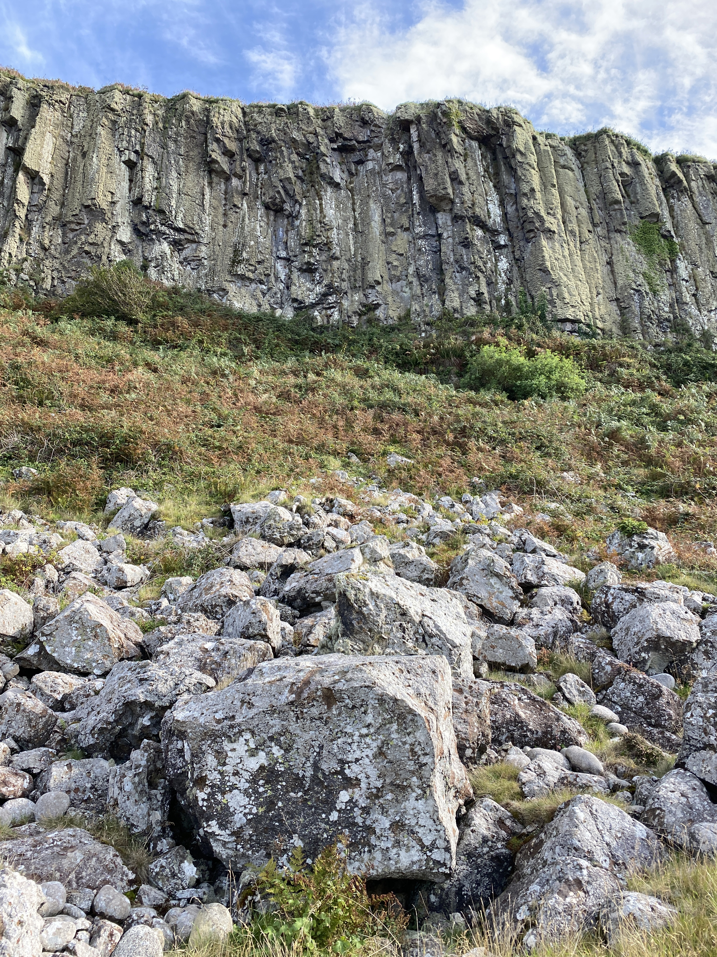 cliff, nature, stones, bush, rock mobile wallpaper