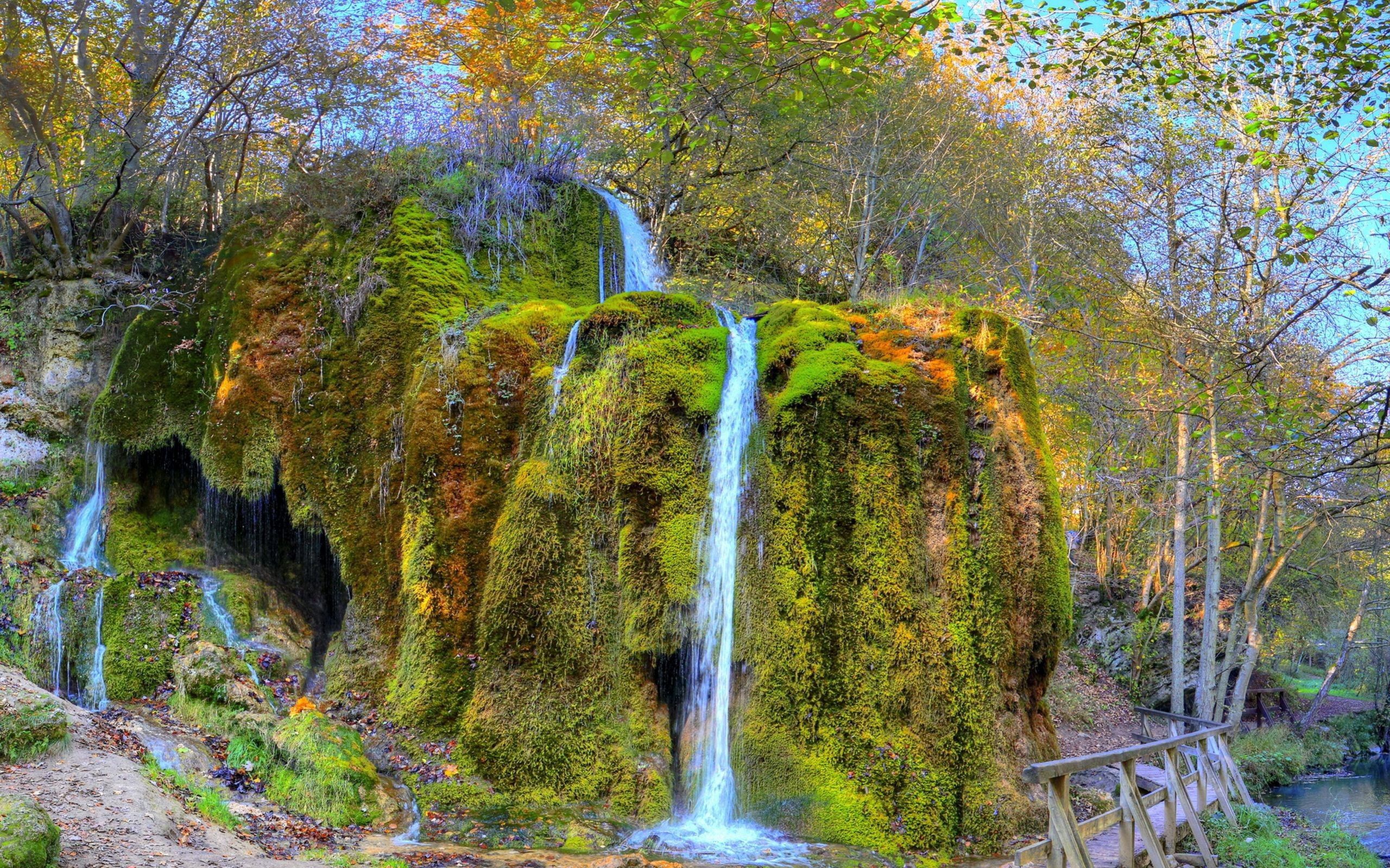 Laden Sie das Wasserfall, Bäume, Schaum, Natur, Grass-Bild kostenlos auf Ihren PC-Desktop herunter