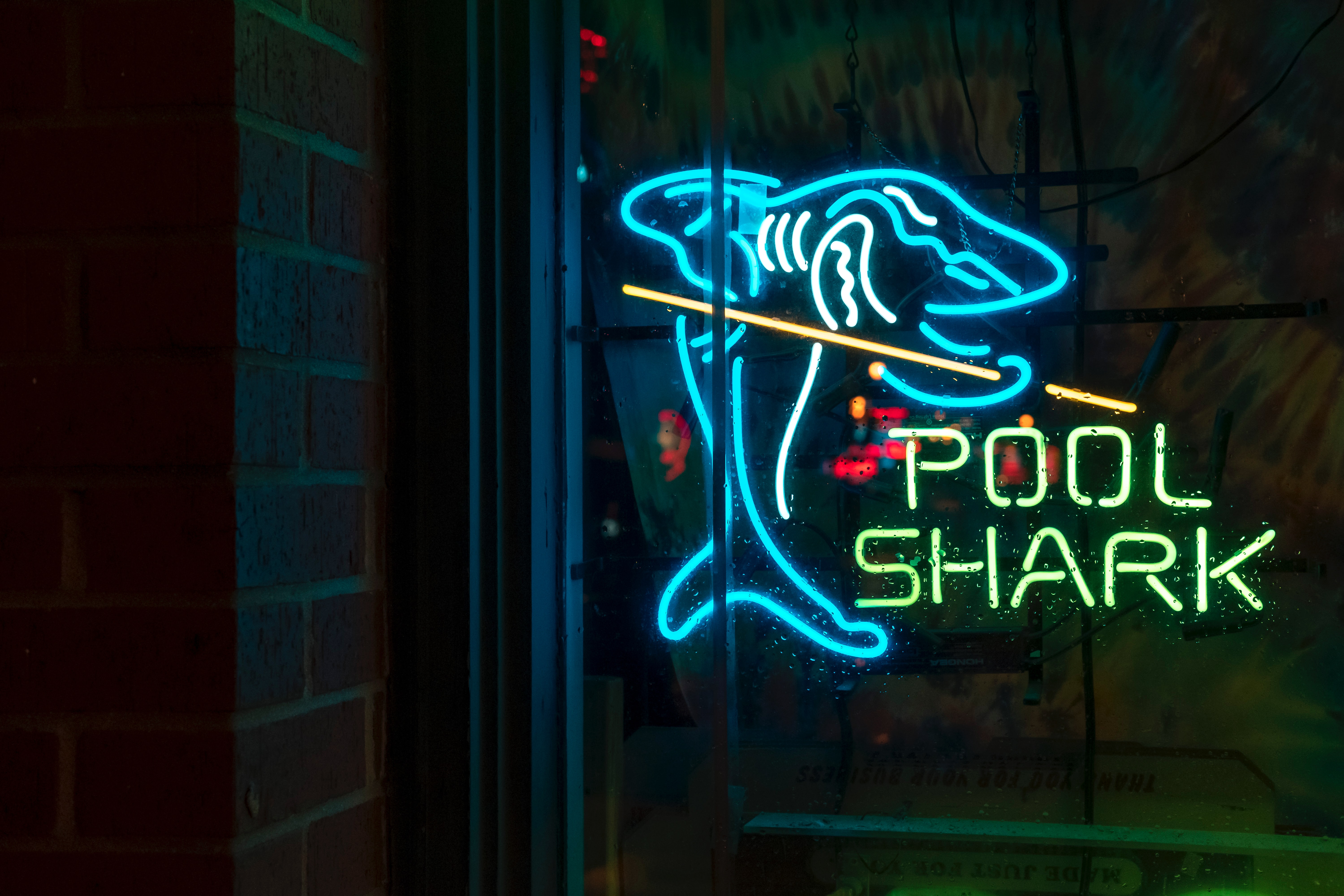 shark, neon, words, inscription