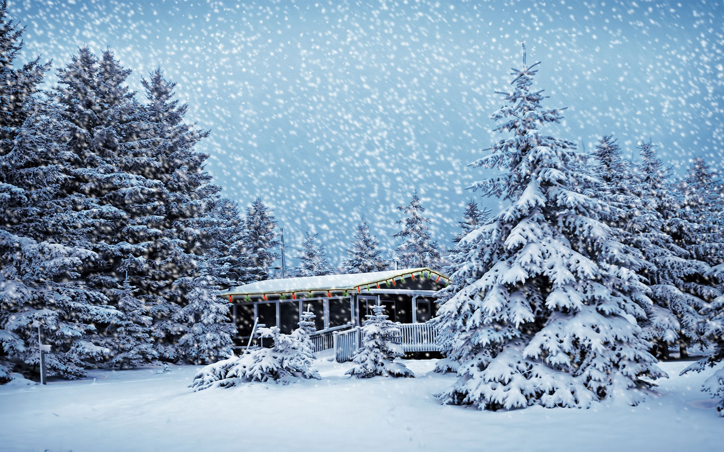 snowfall, photography, winter, house, pine, snow, tree HD wallpaper