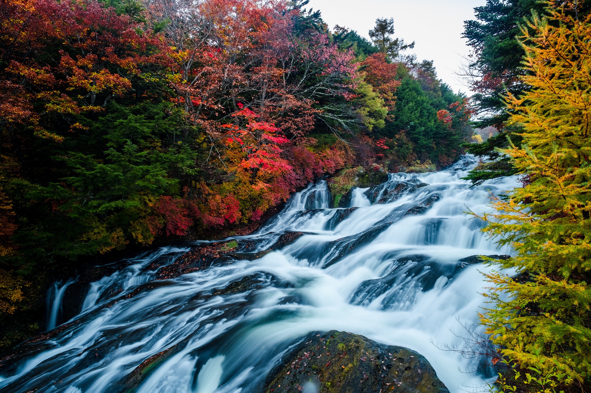Natural fall. Сакура и водопад. Водопад и Сакура фото. Earth Fall.