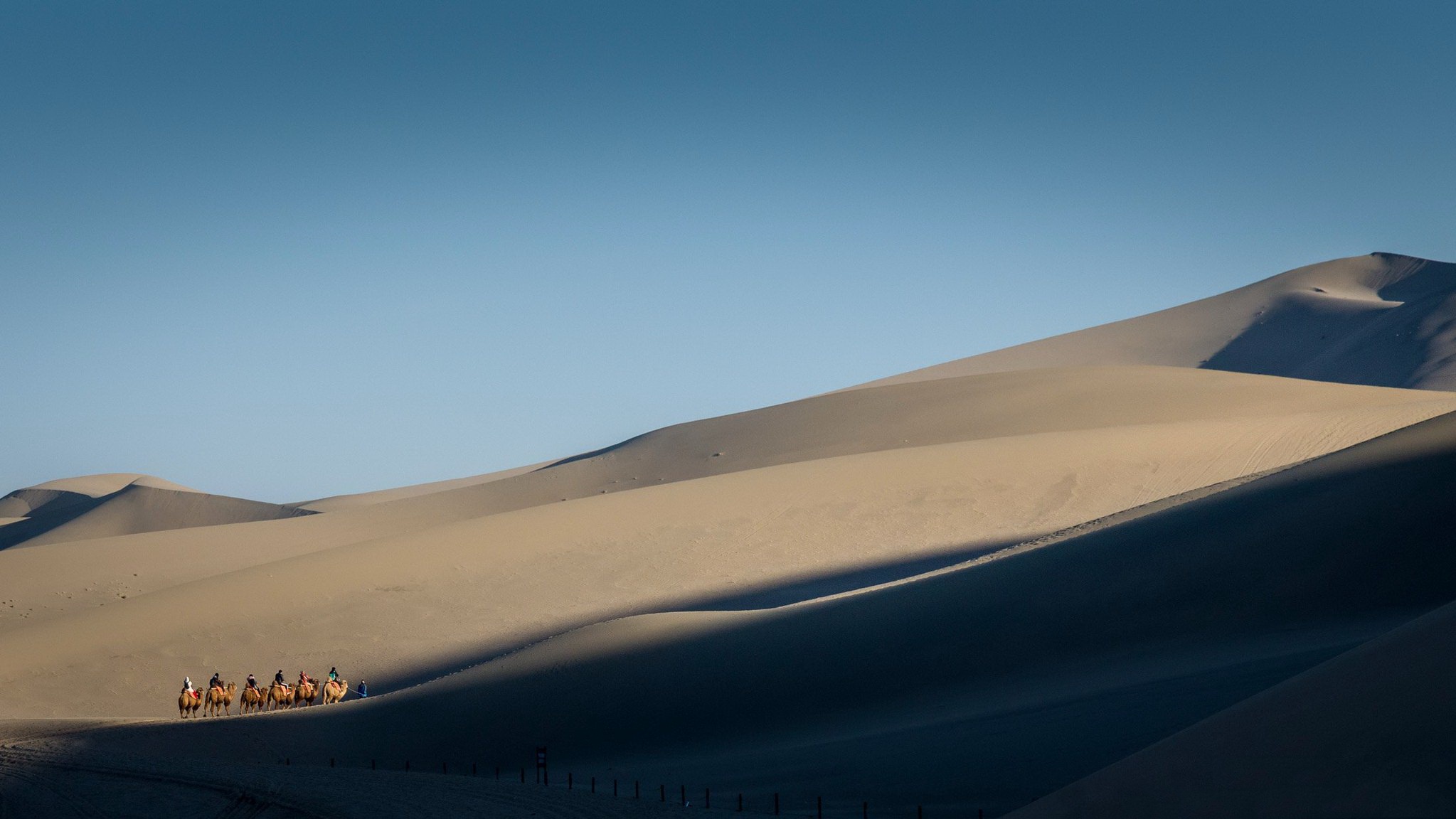 985731 descargar fondo de pantalla fotografía, paisaje, caravana de camellos, desierto, el desierto de gobi: protectores de pantalla e imágenes gratis