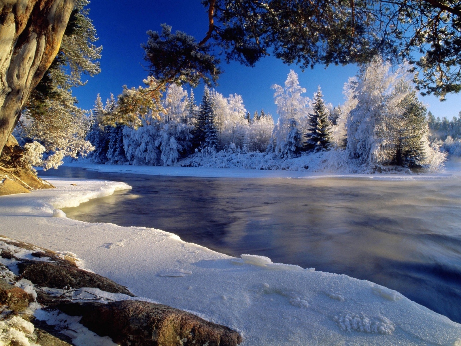 1299 Hintergrundbild herunterladen landschaft, winter, flüsse, bäume, schnee, blau - Bildschirmschoner und Bilder kostenlos