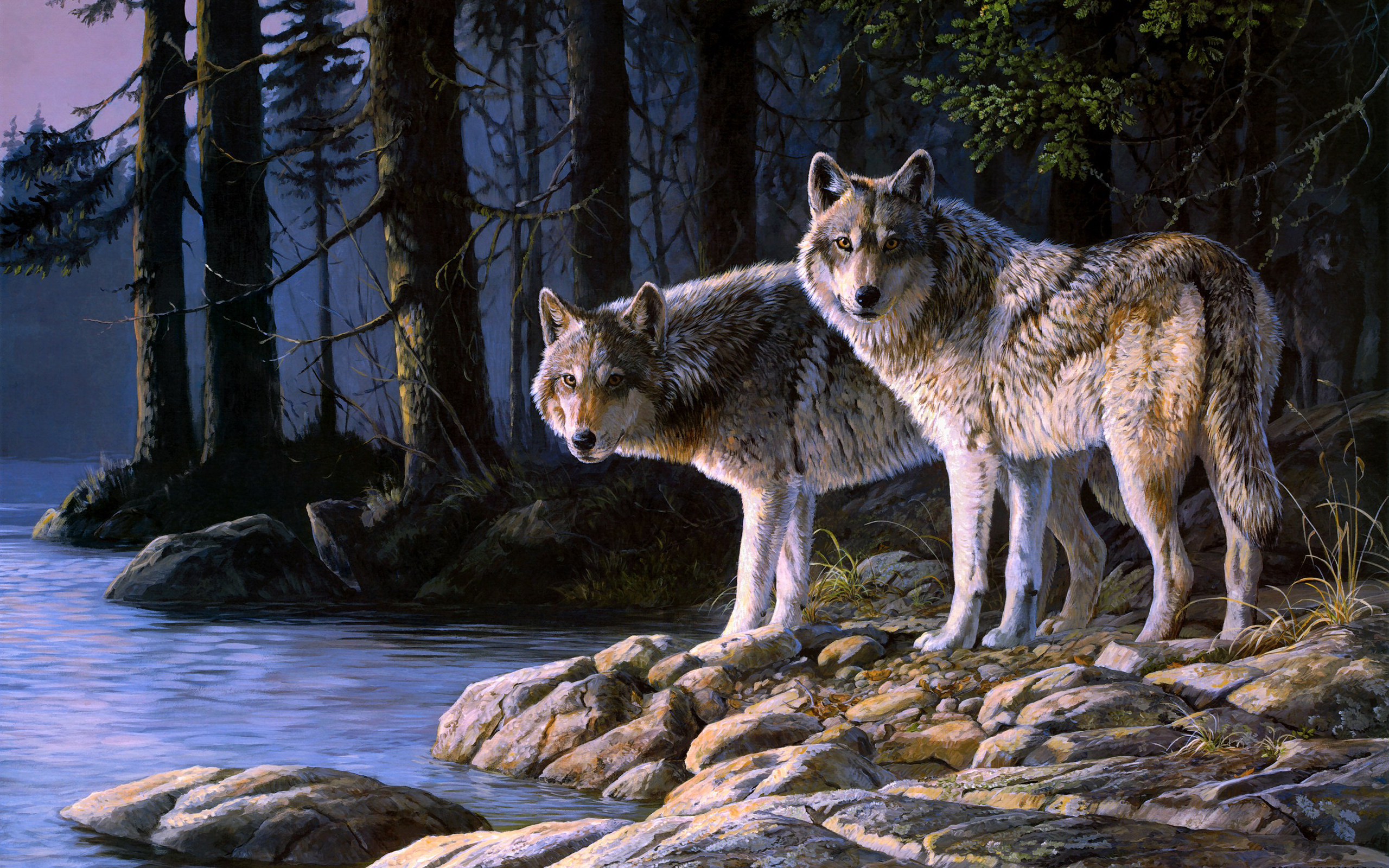 301079 Hintergrundbild herunterladen tiere, wolf, wolves - Bildschirmschoner und Bilder kostenlos