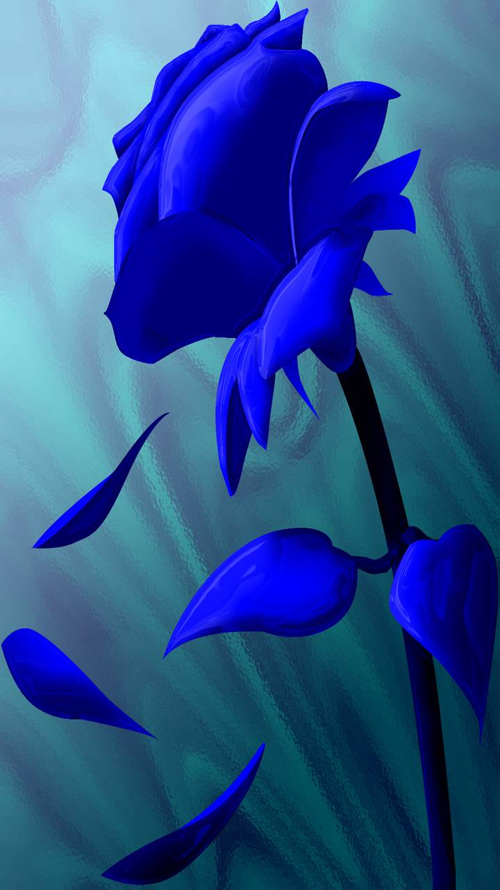 blue rose, artistic, rose, flower HD wallpaper
