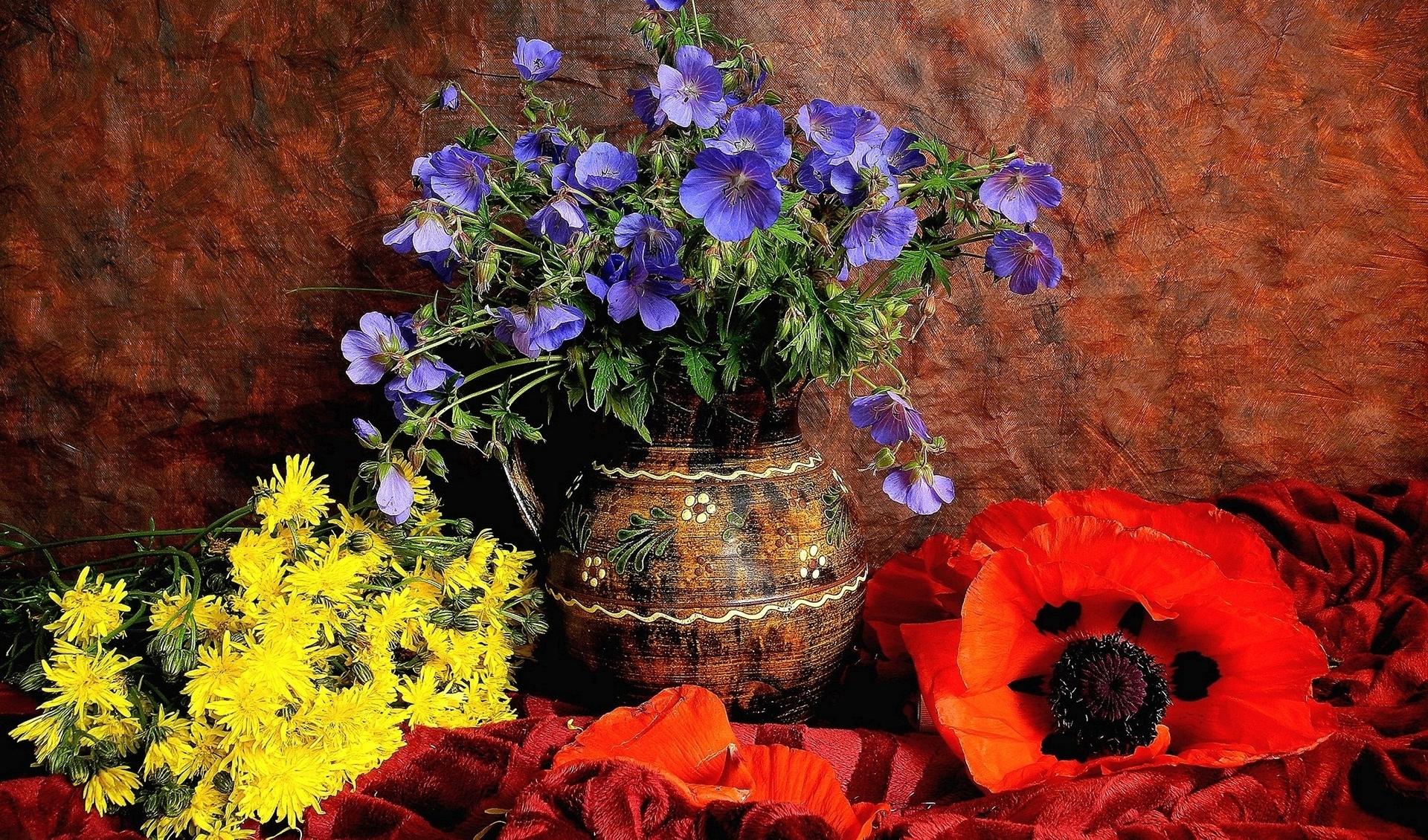 1503114 baixar imagens fotografia, natureza morta, flor azul, colorido, flor, papoula, flor vermelha, vaso, flor amarela - papéis de parede e protetores de tela gratuitamente