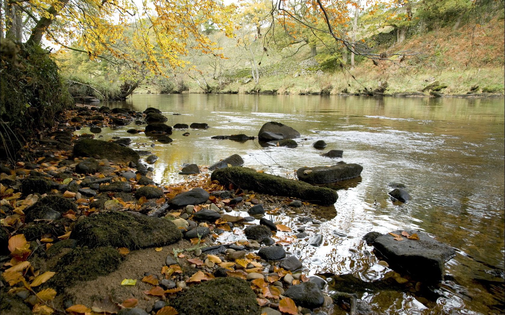 Download mobile wallpaper Bank, Shore, Stones, Flow, Rivers, Nature, Autumn, Leaves for free.