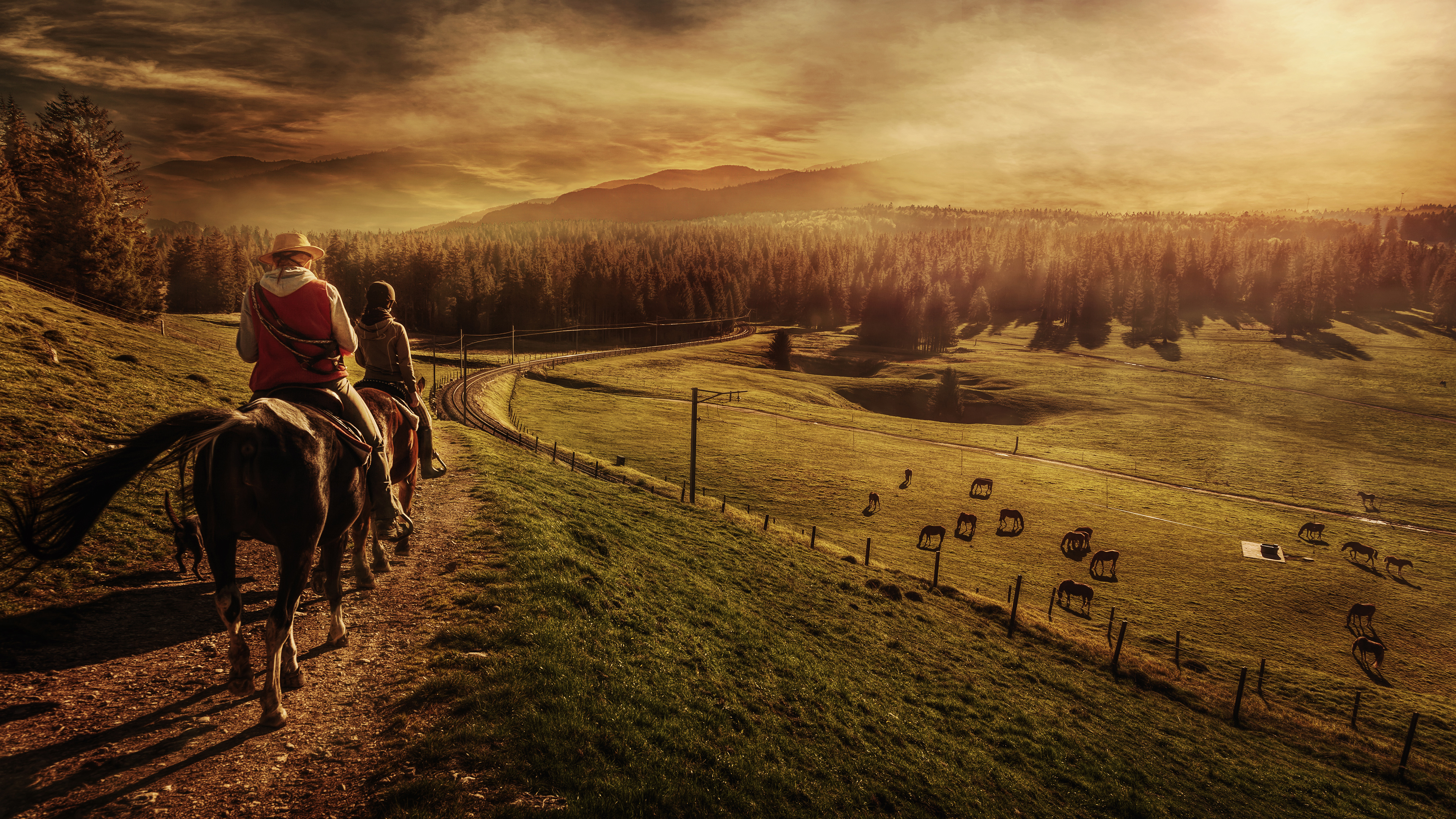 landscape, sunset, people, photography, horse, horse riding Full HD