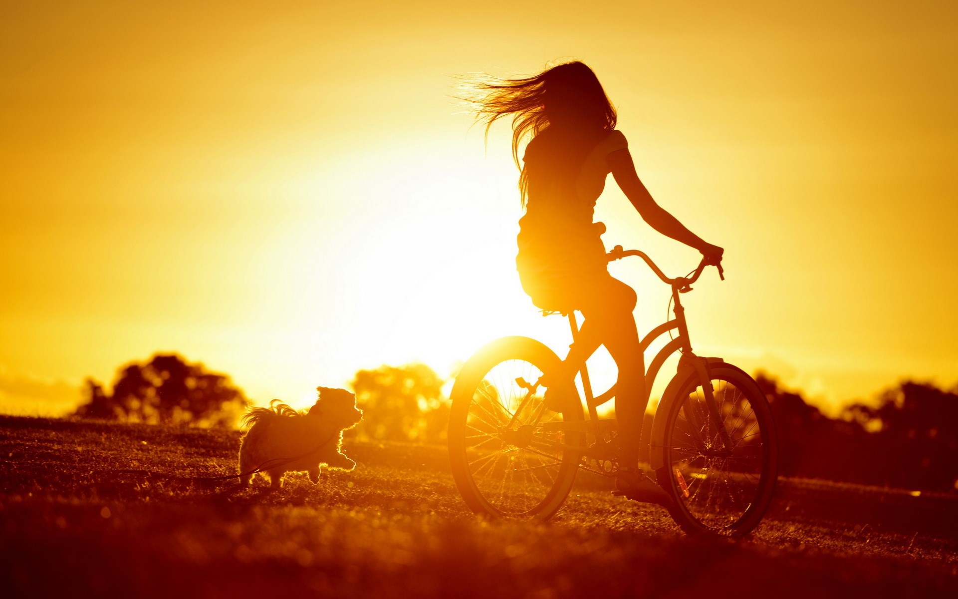 Велосипед со светом. Велосипед на закате. Девушка на велосипеде на закате. Велосипед солнце. Велосипед на рассвете.