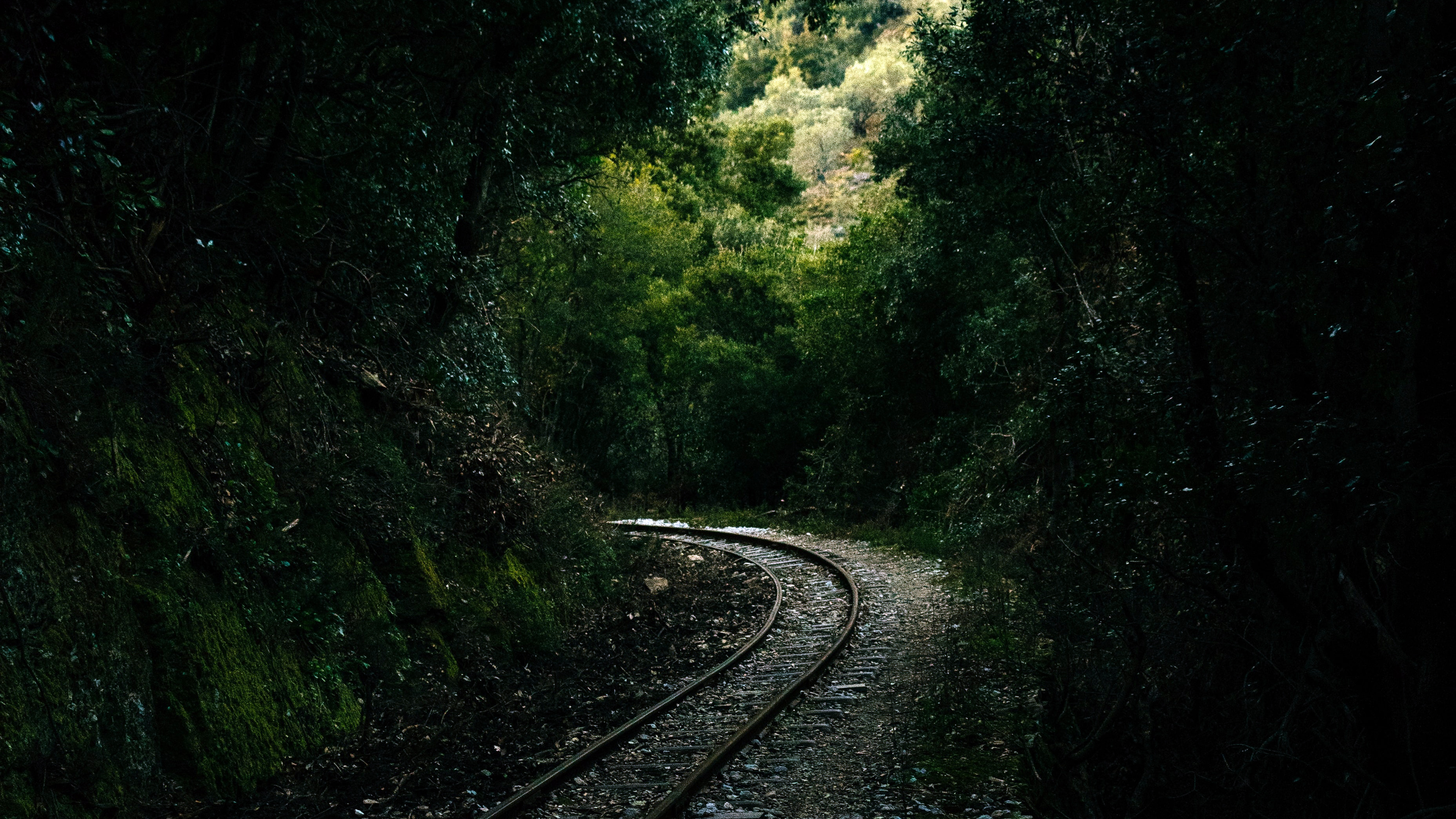 Железнодорожные пути в лесу