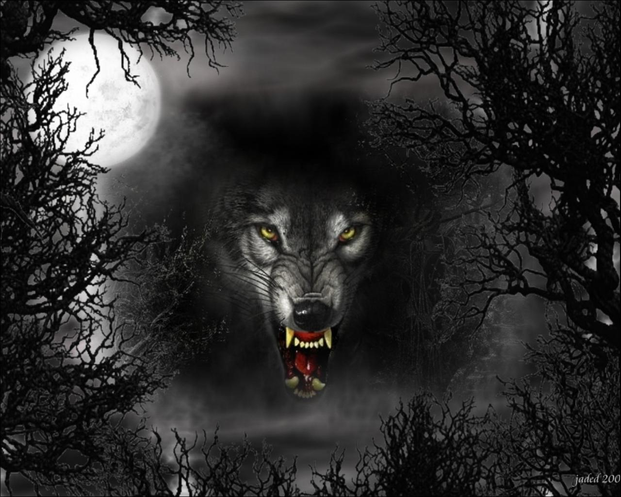 wolfs, art, animals, black lock screen backgrounds
