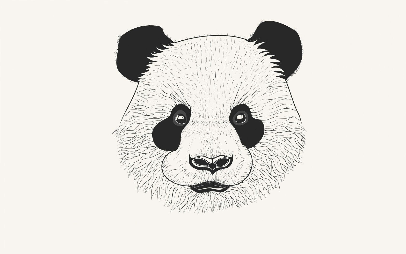 panda, art, minimalism, muzzle