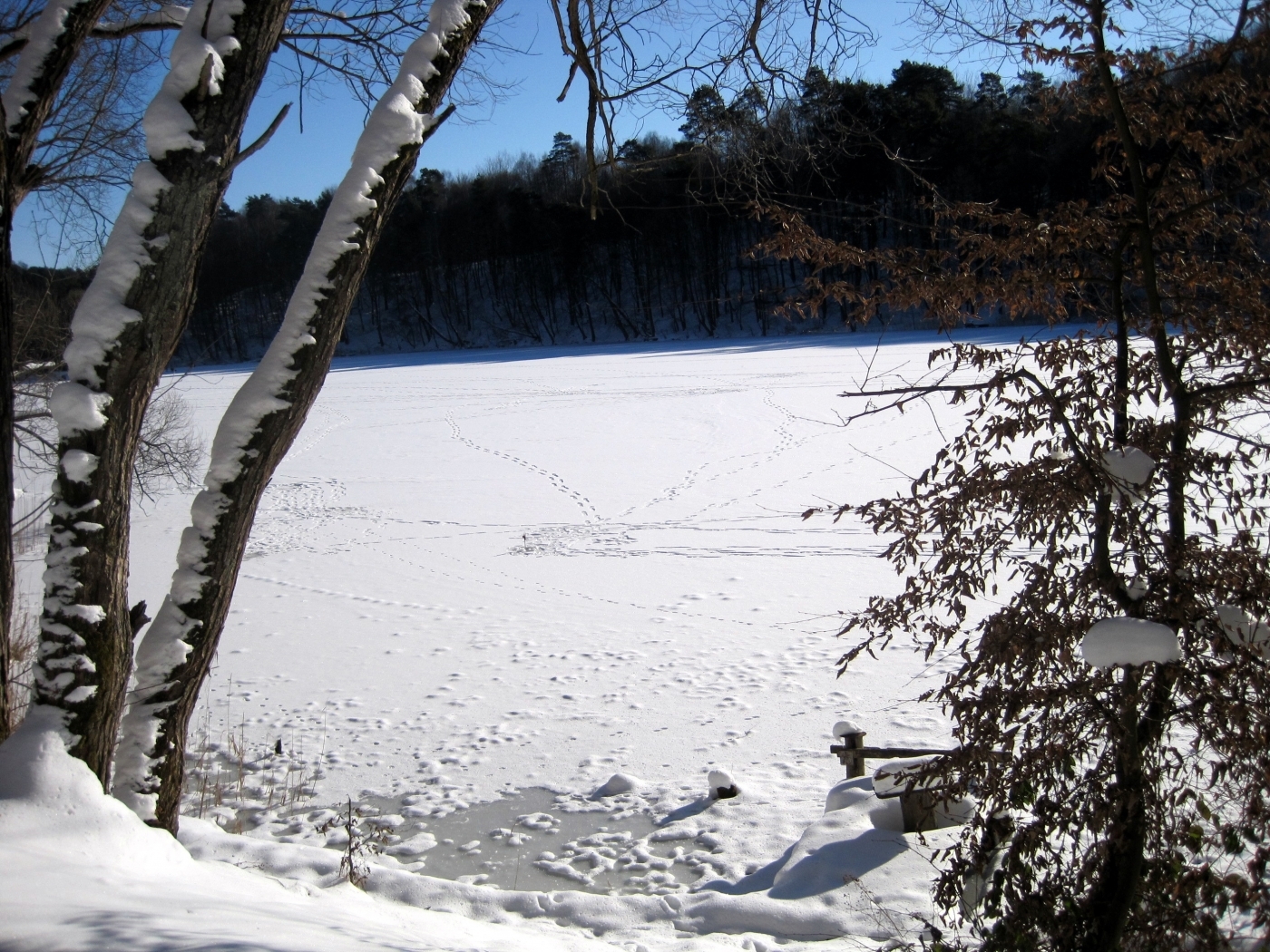 Скачать картинку Река, Деревья, Снег, Пейзаж, Зима в телефон бесплатно.