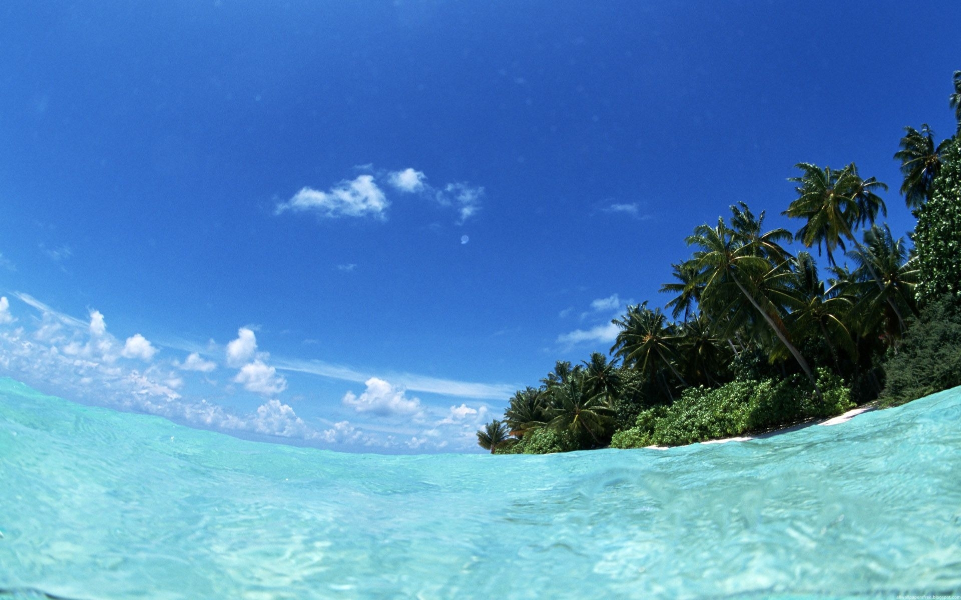 Download mobile wallpaper Nature, Sea, Palms, Landscape for free.