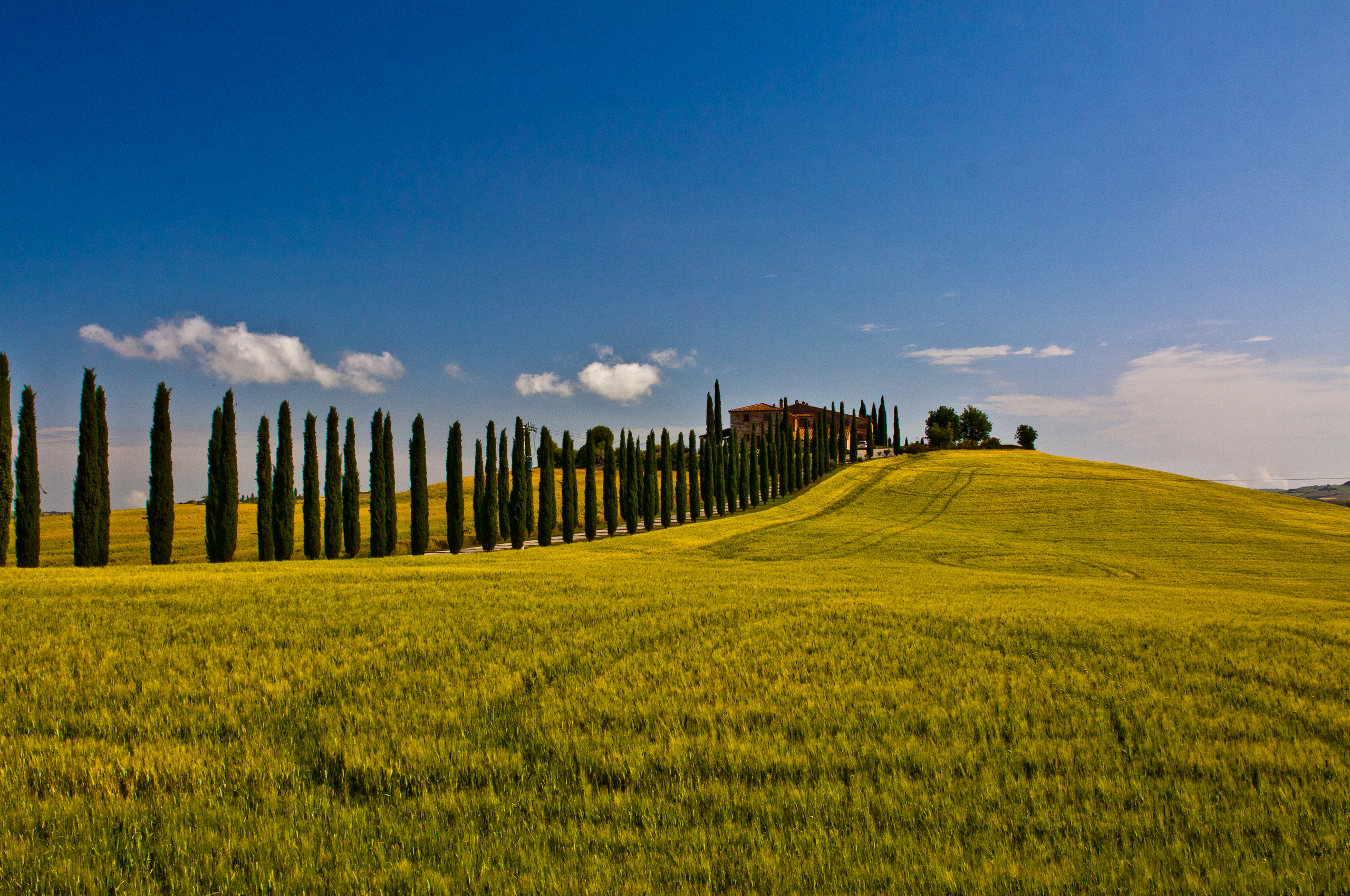 Италия поля Тосканы
