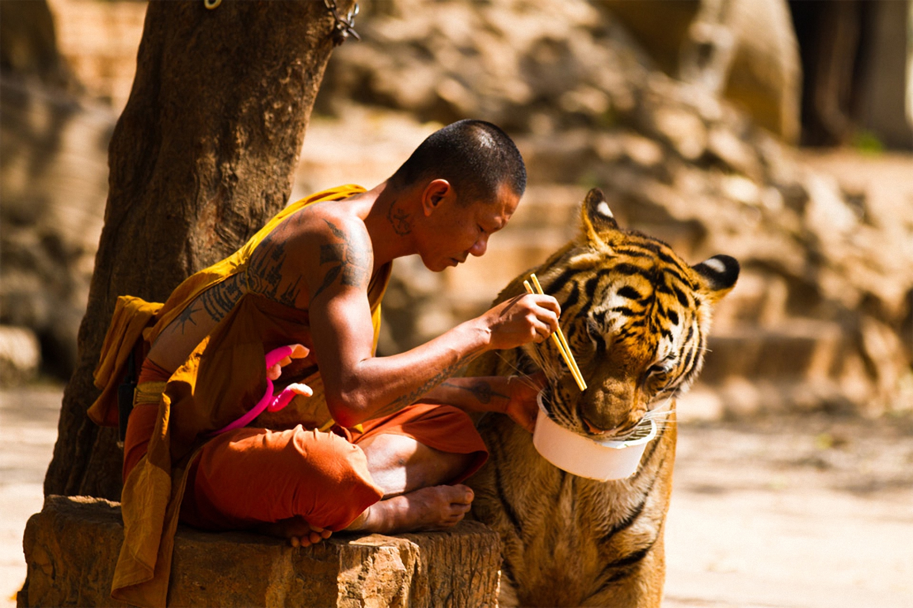 Тигриный монастырь Таиланд