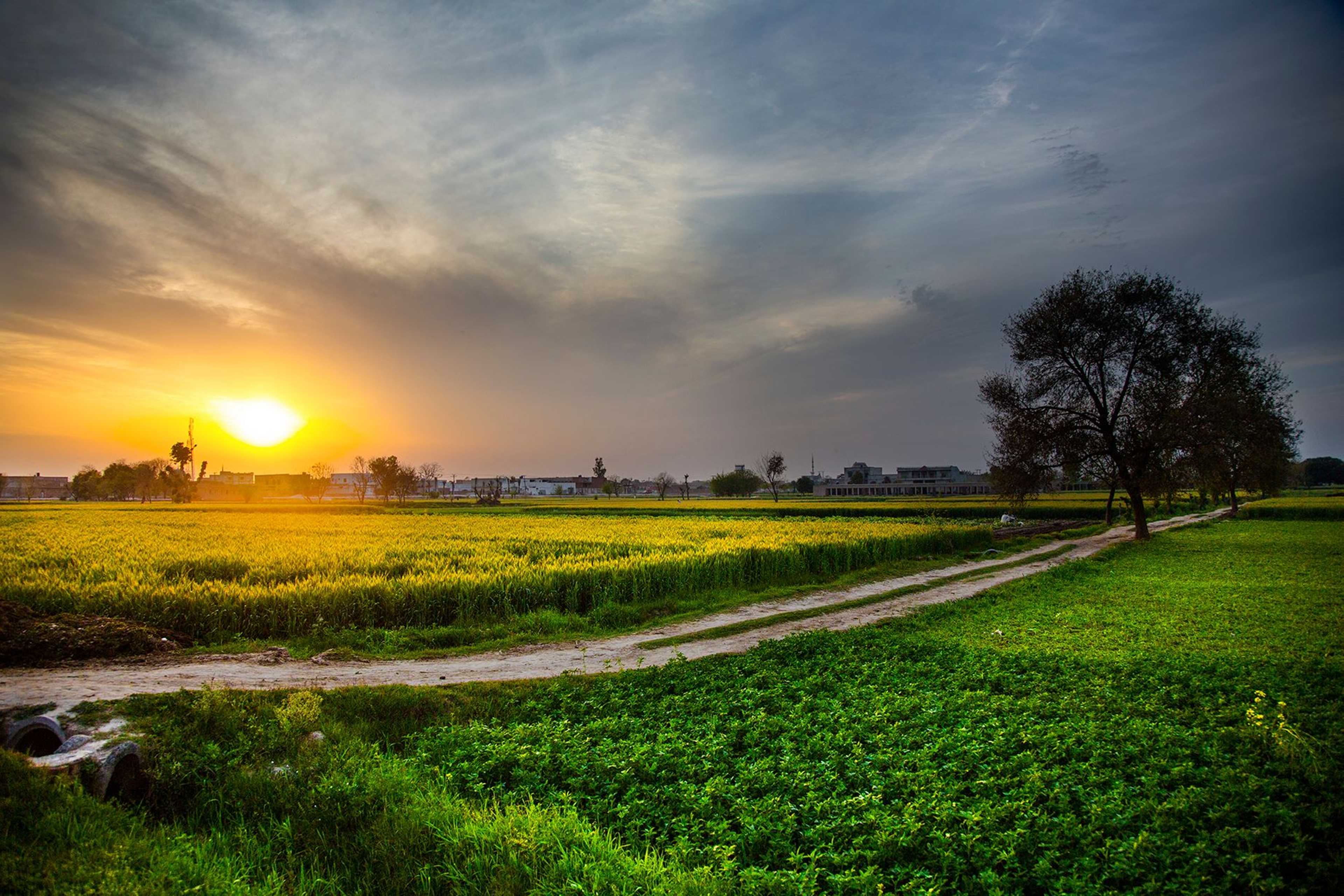 pakistan, farm, photography, sunset, countryside, earth, field, landscape, nature iphone wallpaper