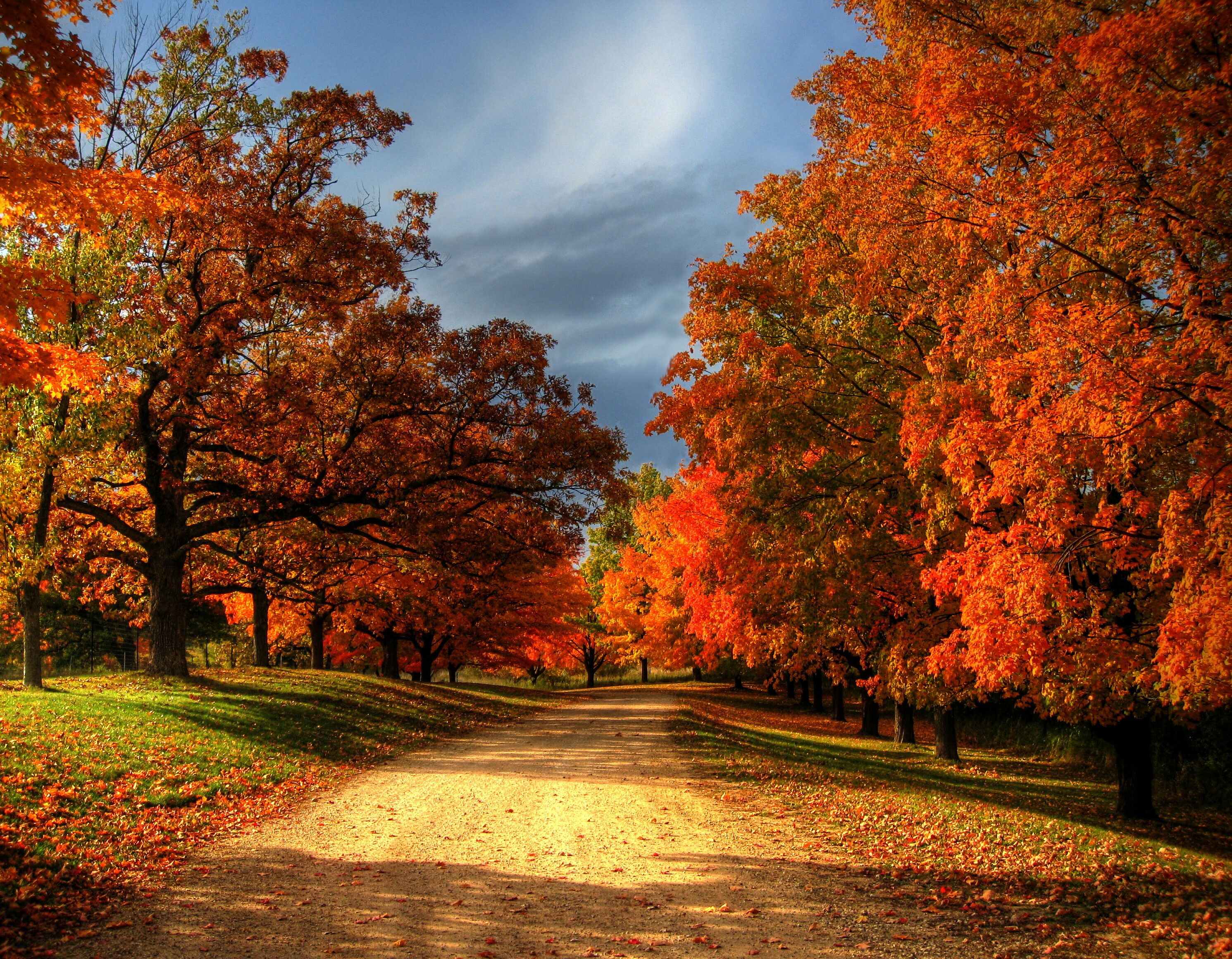 Осень картинки. Красивая осень. Природа осенью. Прекрасная осень. Осенние обои.